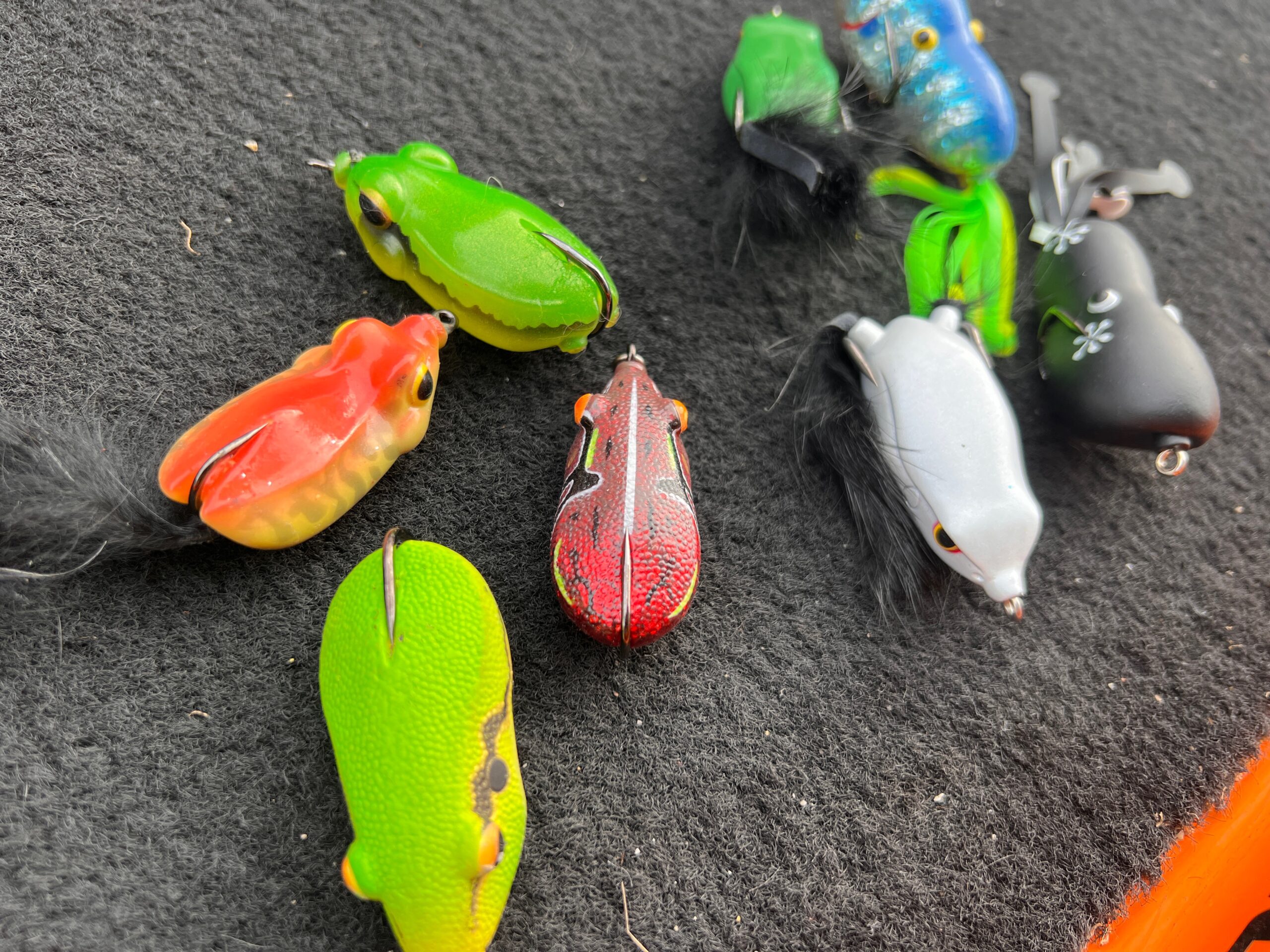 フロッグパターン