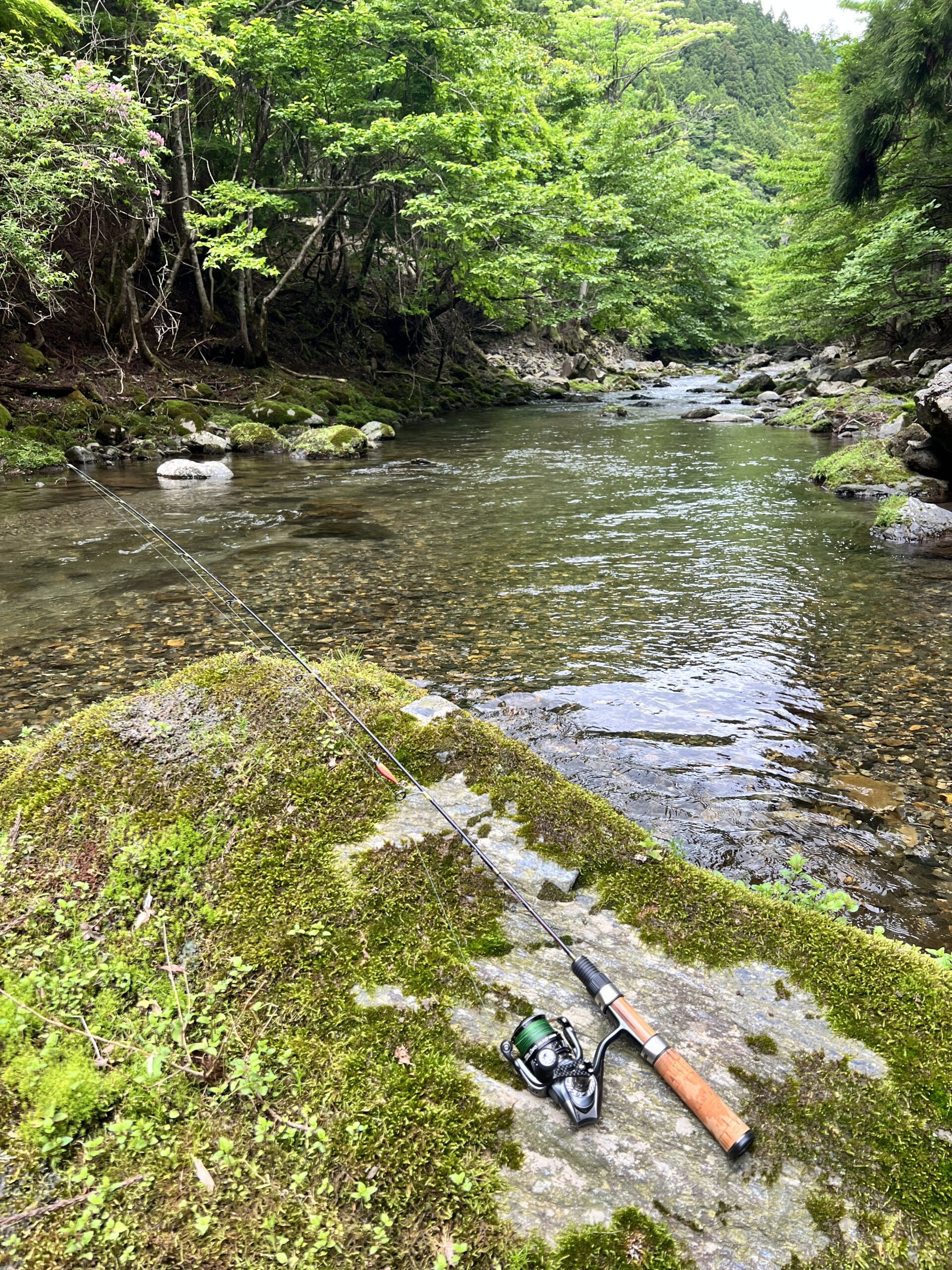 渓流ルアー釣り タックル