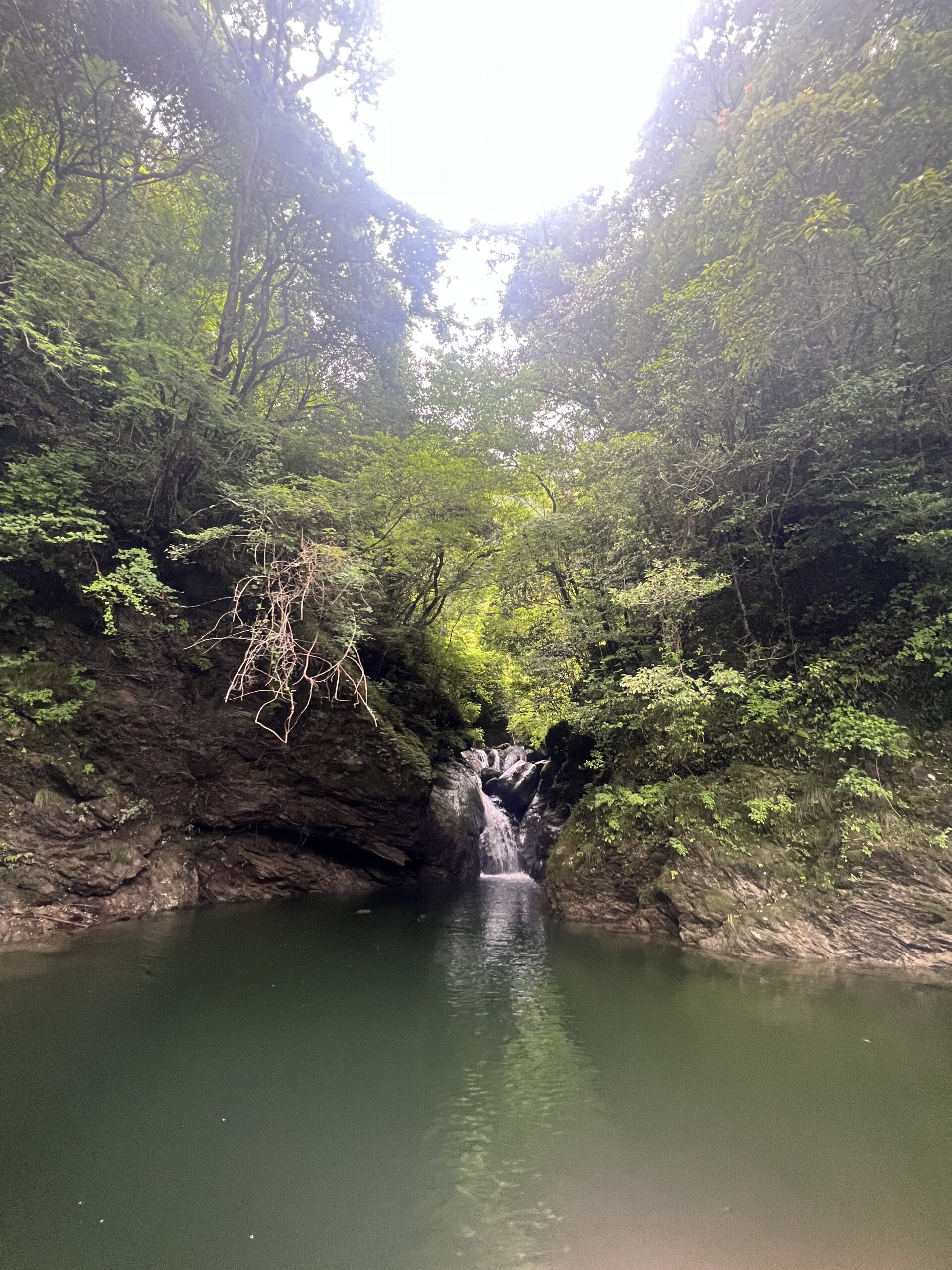 早明浦ダムバス釣り