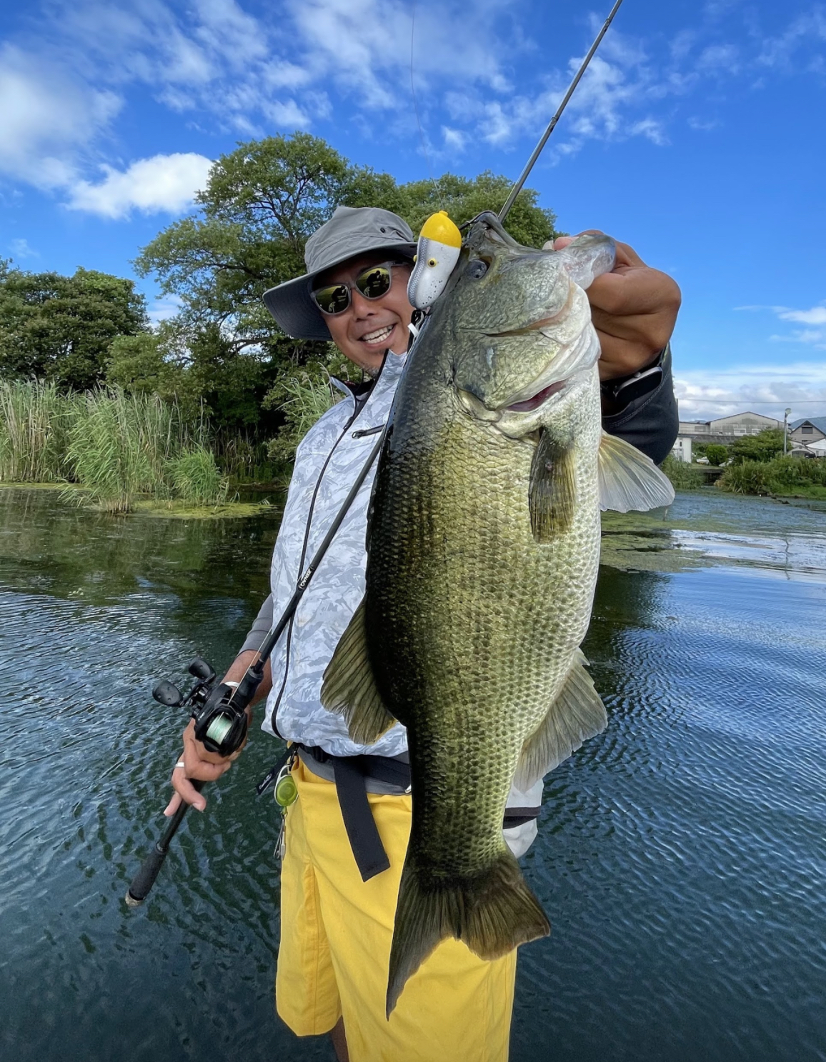 フロッグゲーム