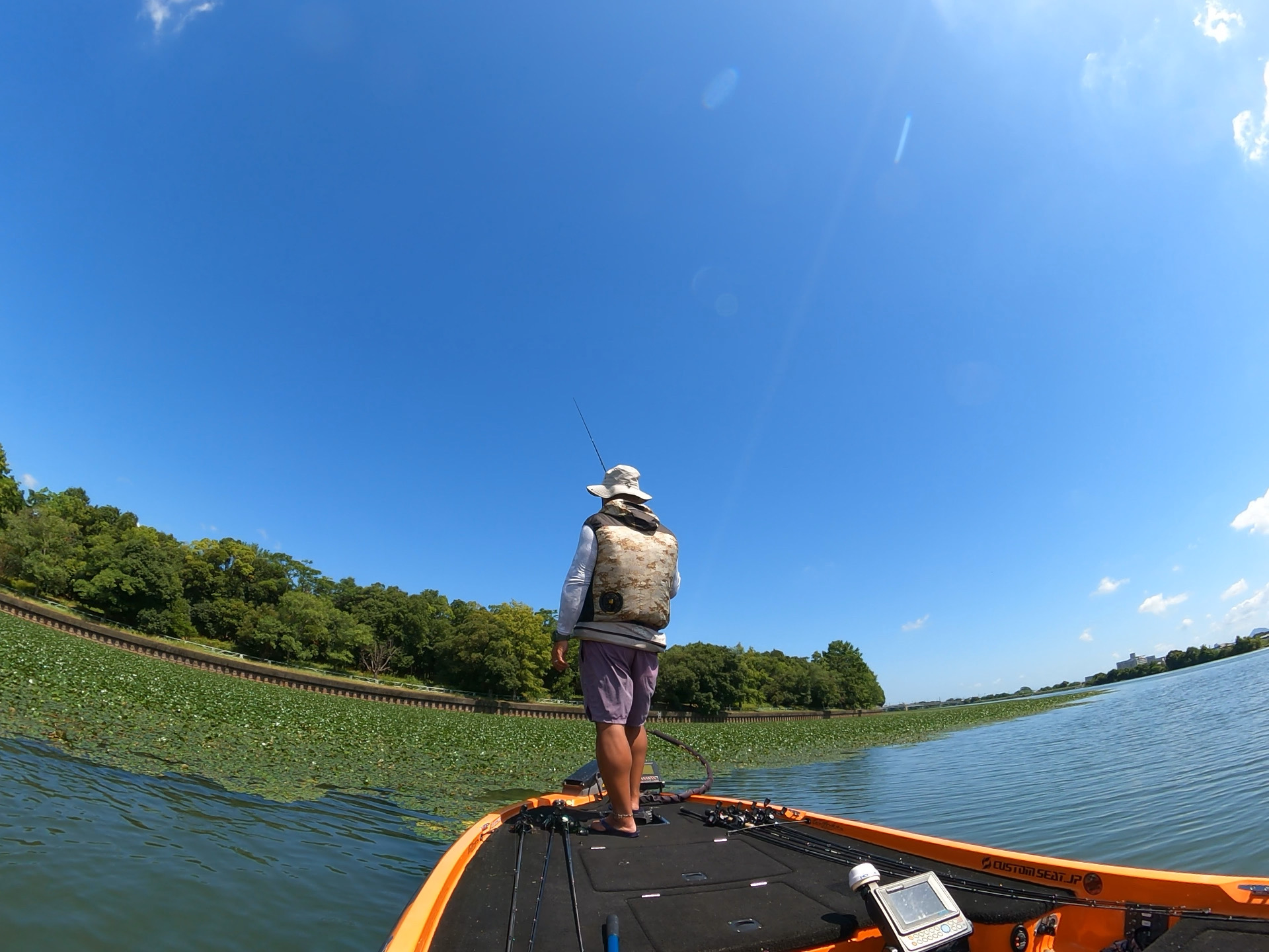 フリップ　フロッグ