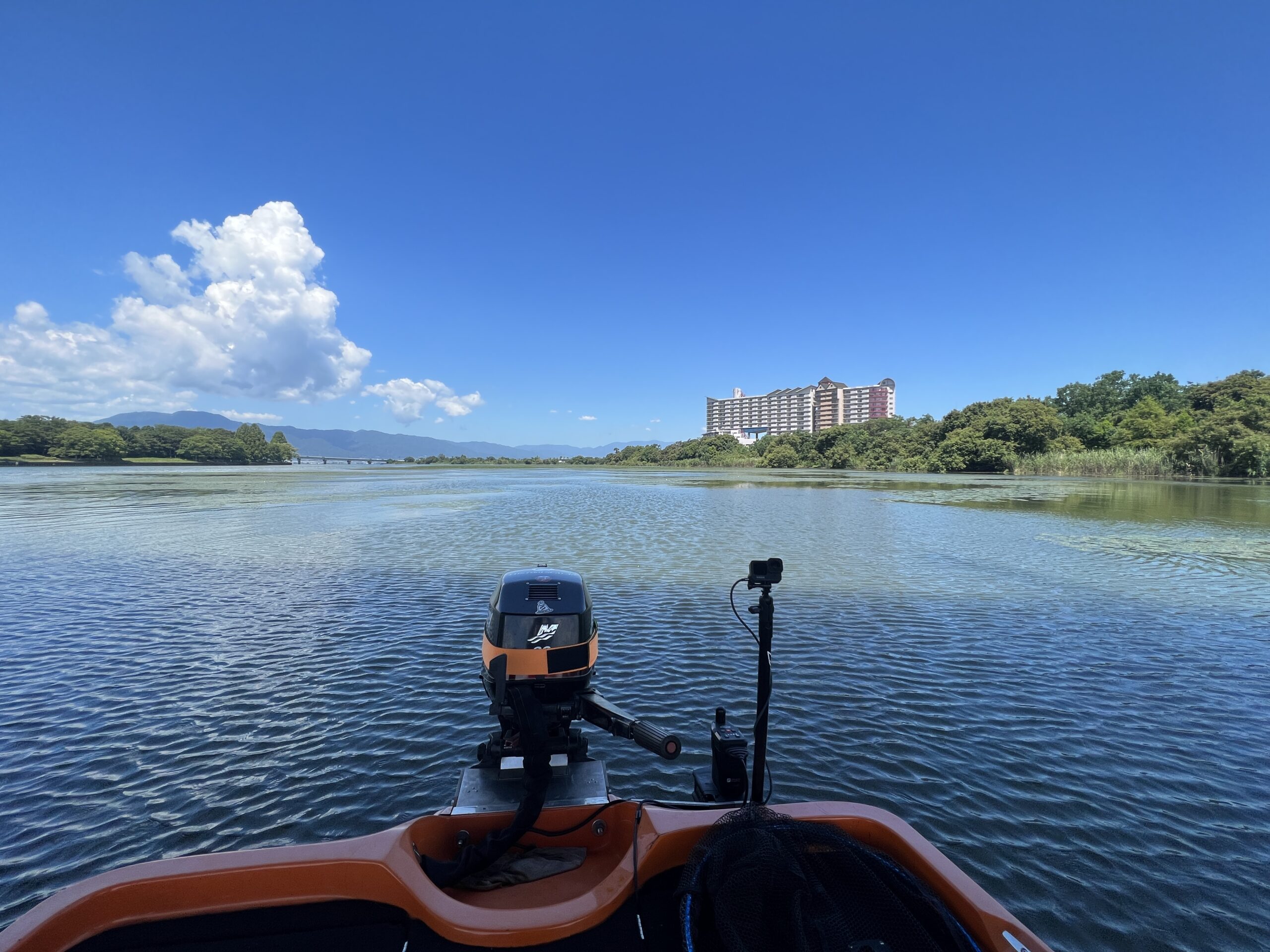 フリップ　フロッグ