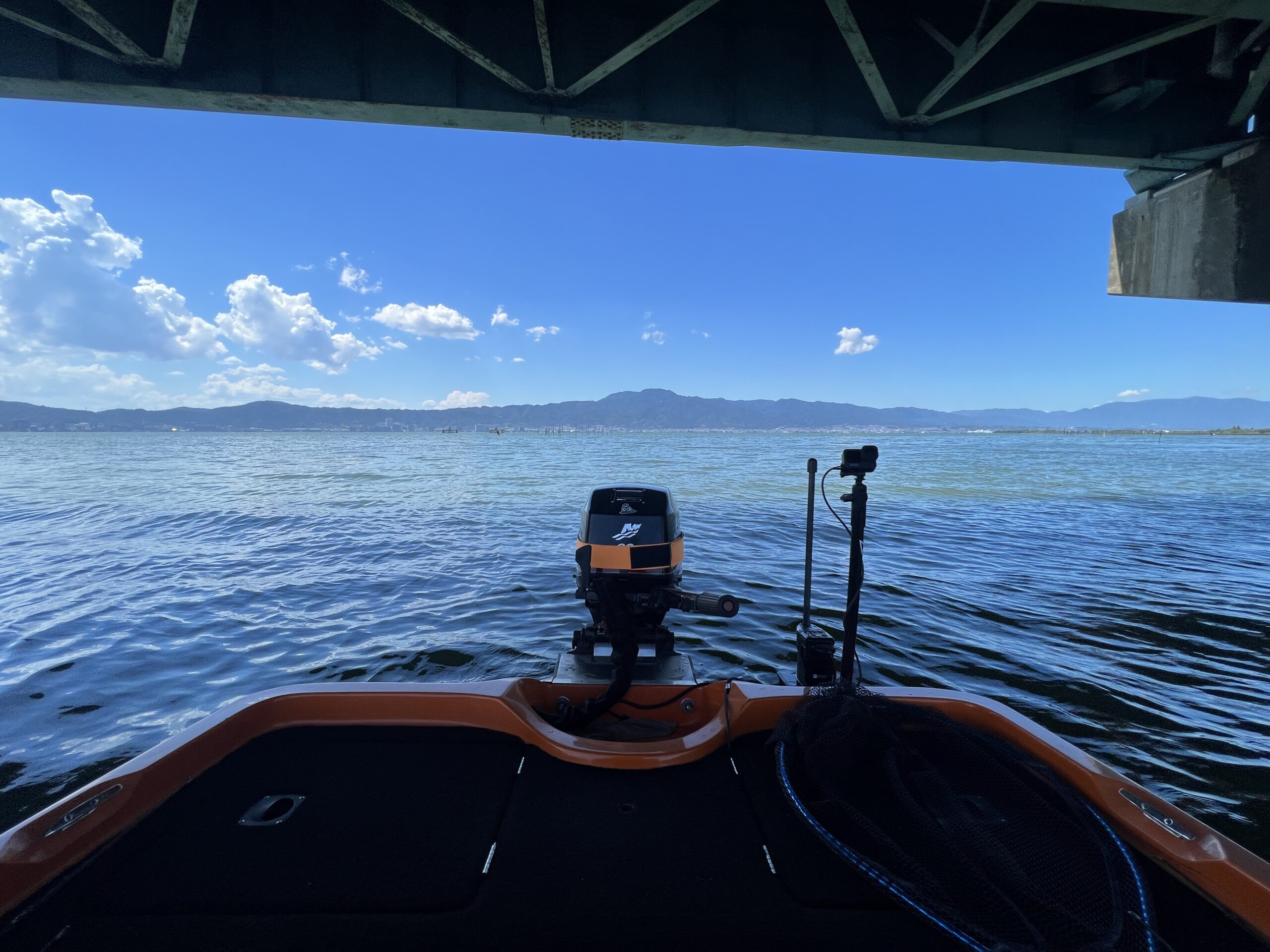 フリップ　フロッグ