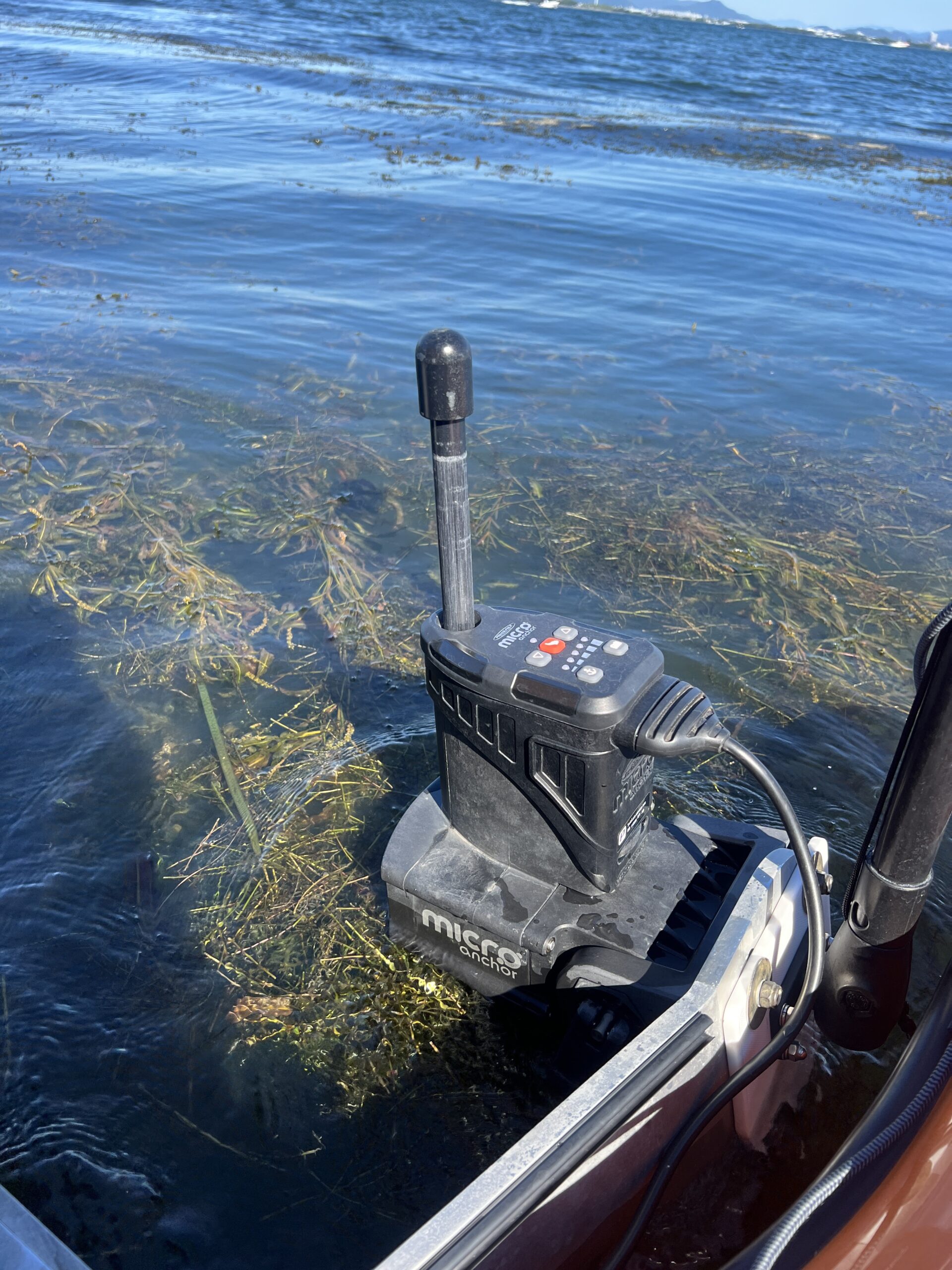 フリップ　フロッグ