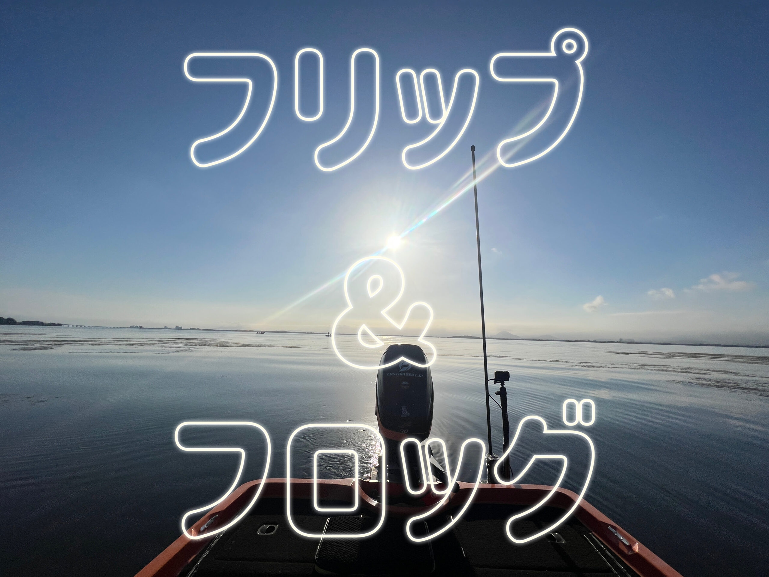 フリップ　フロッグ