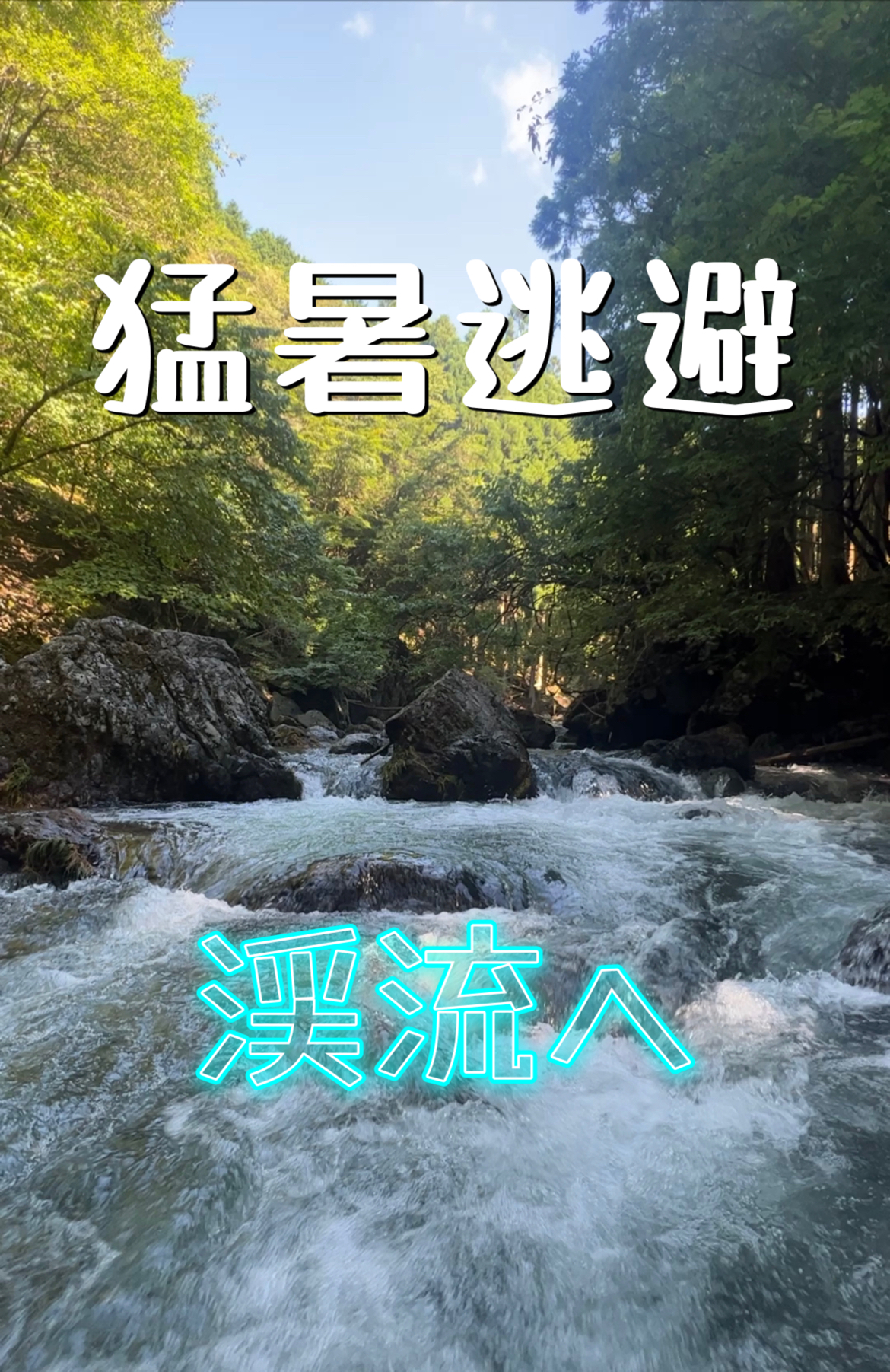 渓流ルアーフィッシング