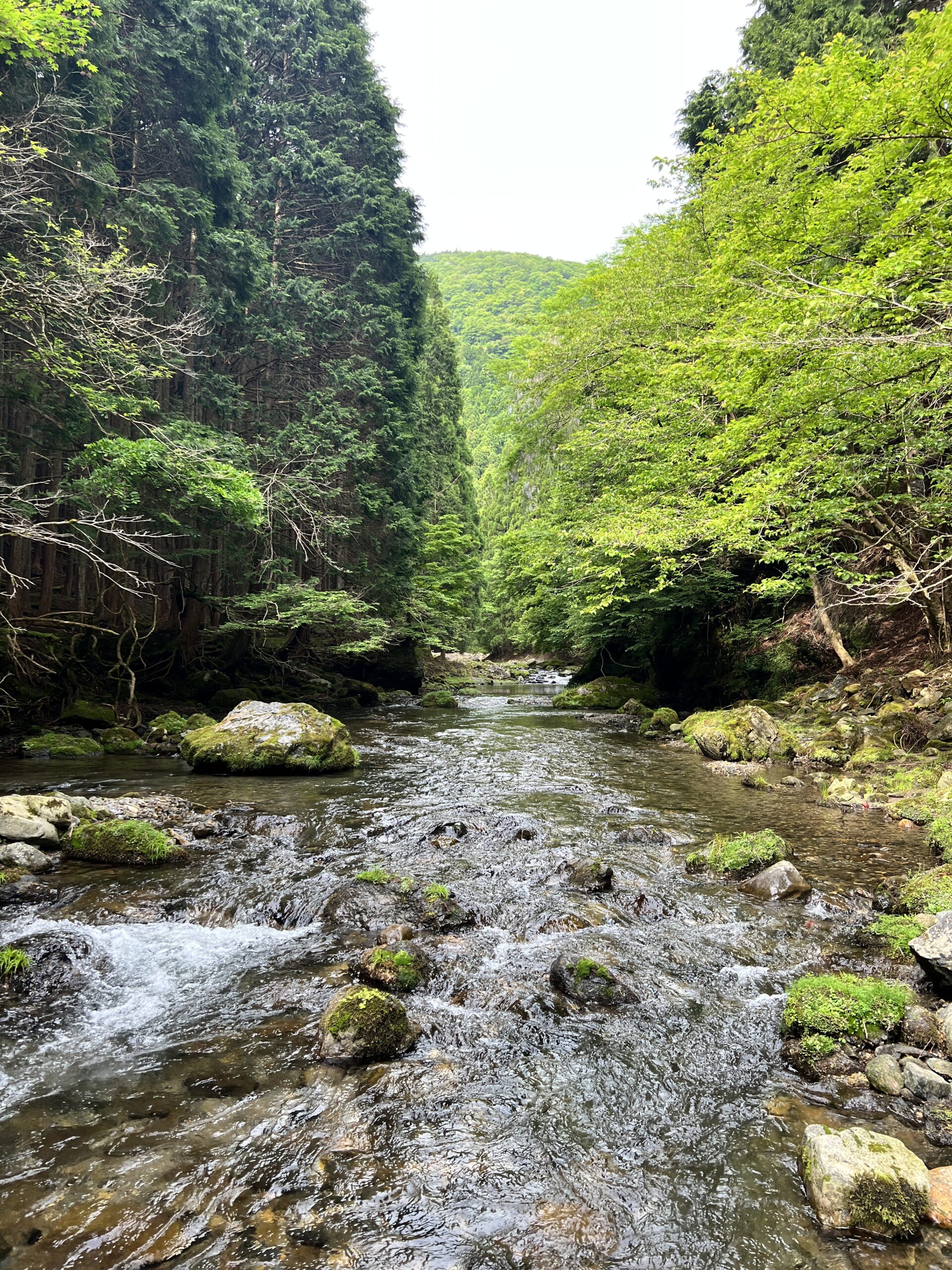 渓流ルアー釣りのススメ