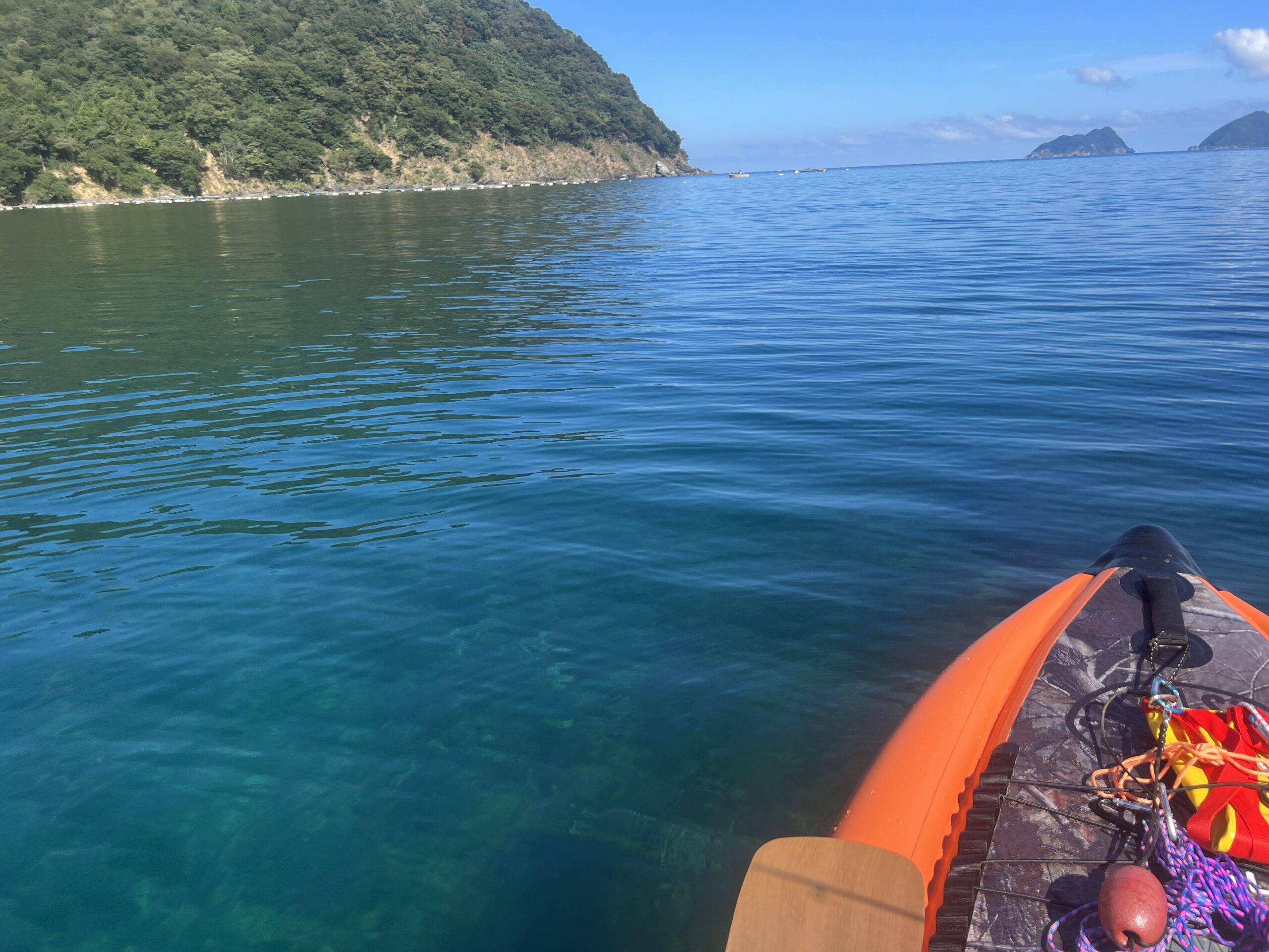 SUPフィッシング