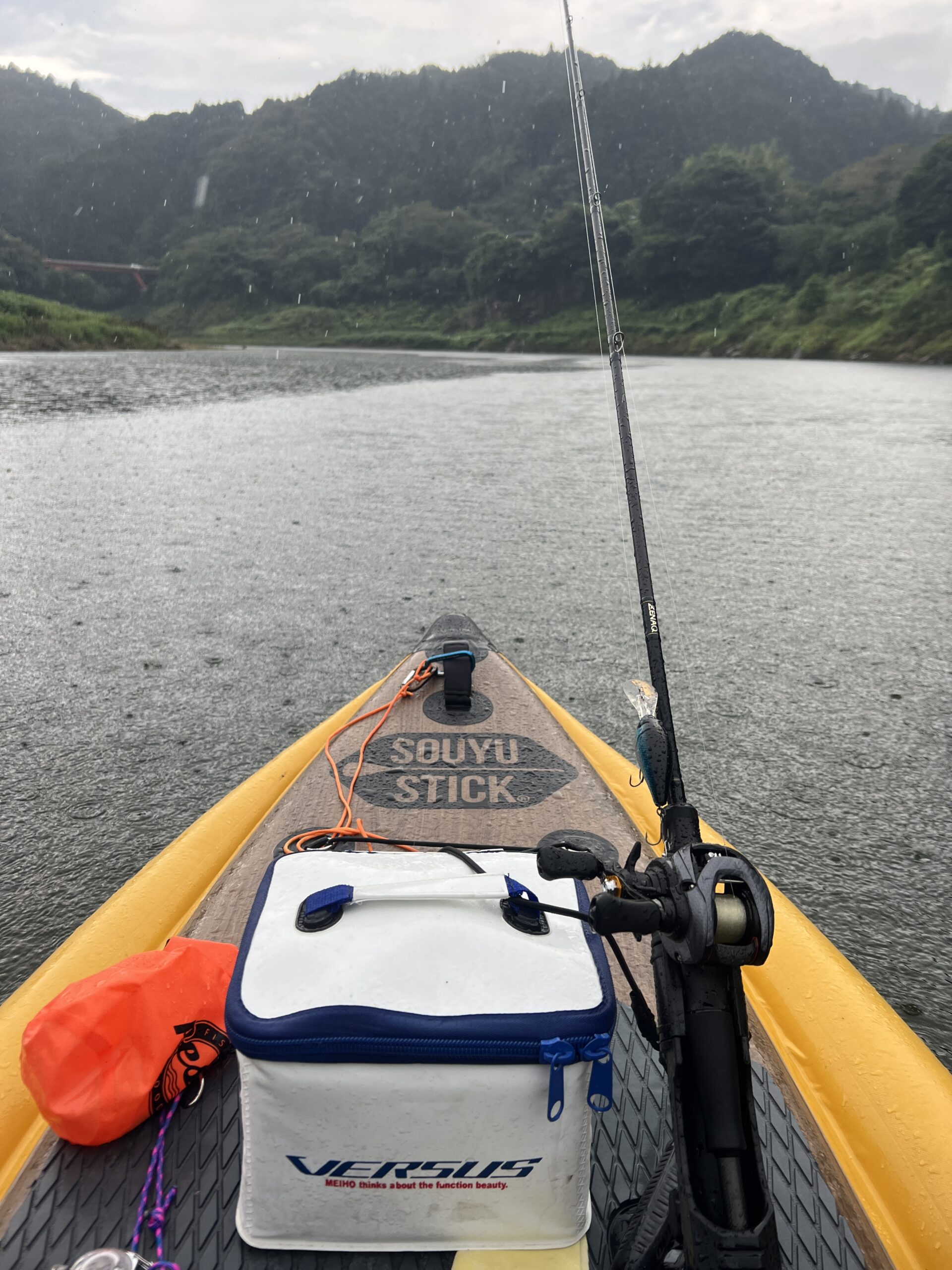 SUPフィッシング