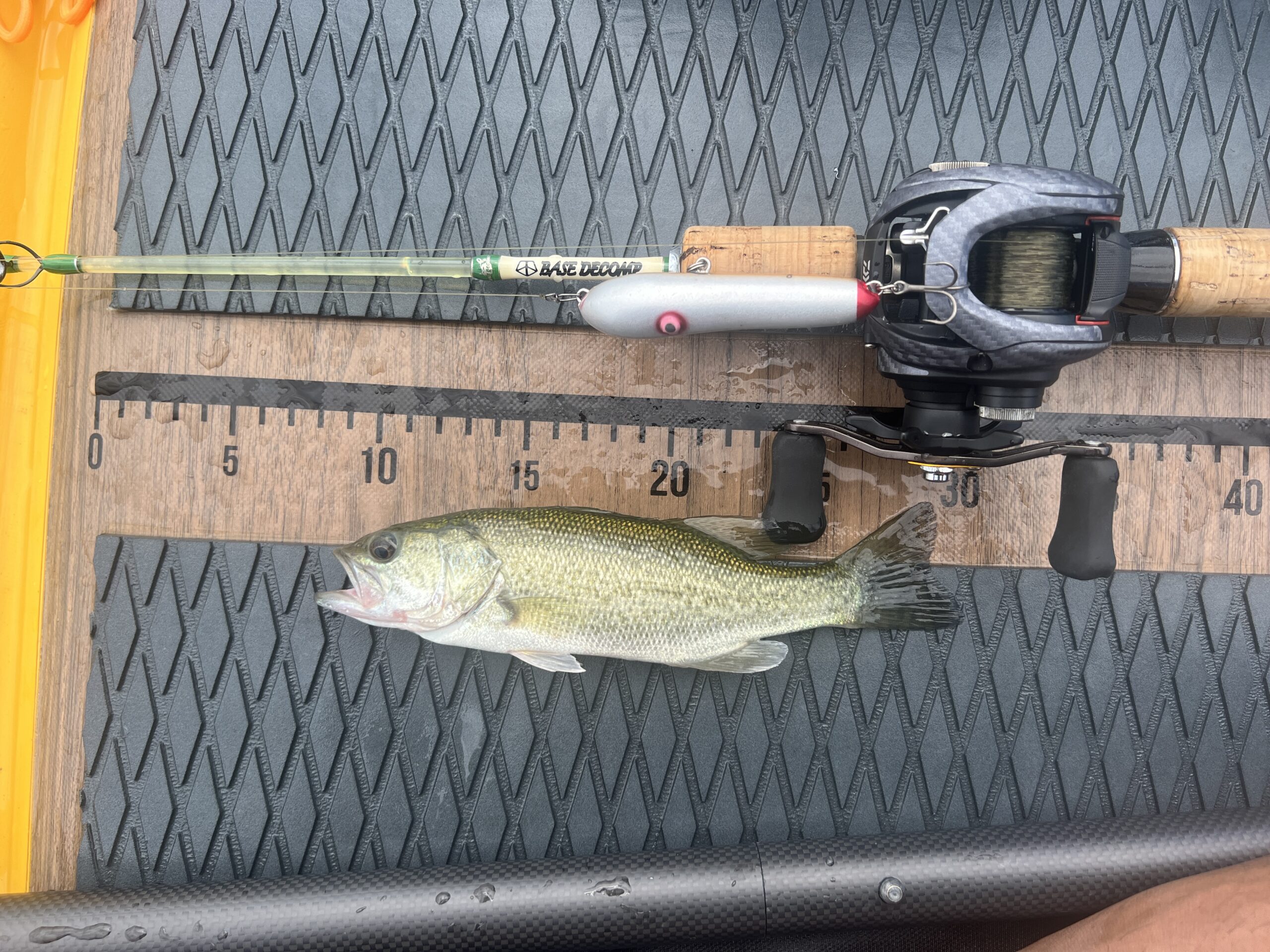 淀川SUPバスフィッシング