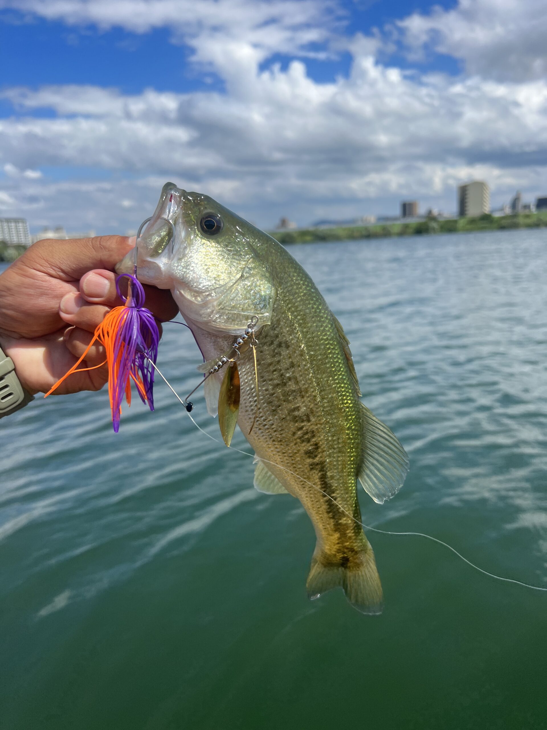 淀川SUPバスフィッシング 