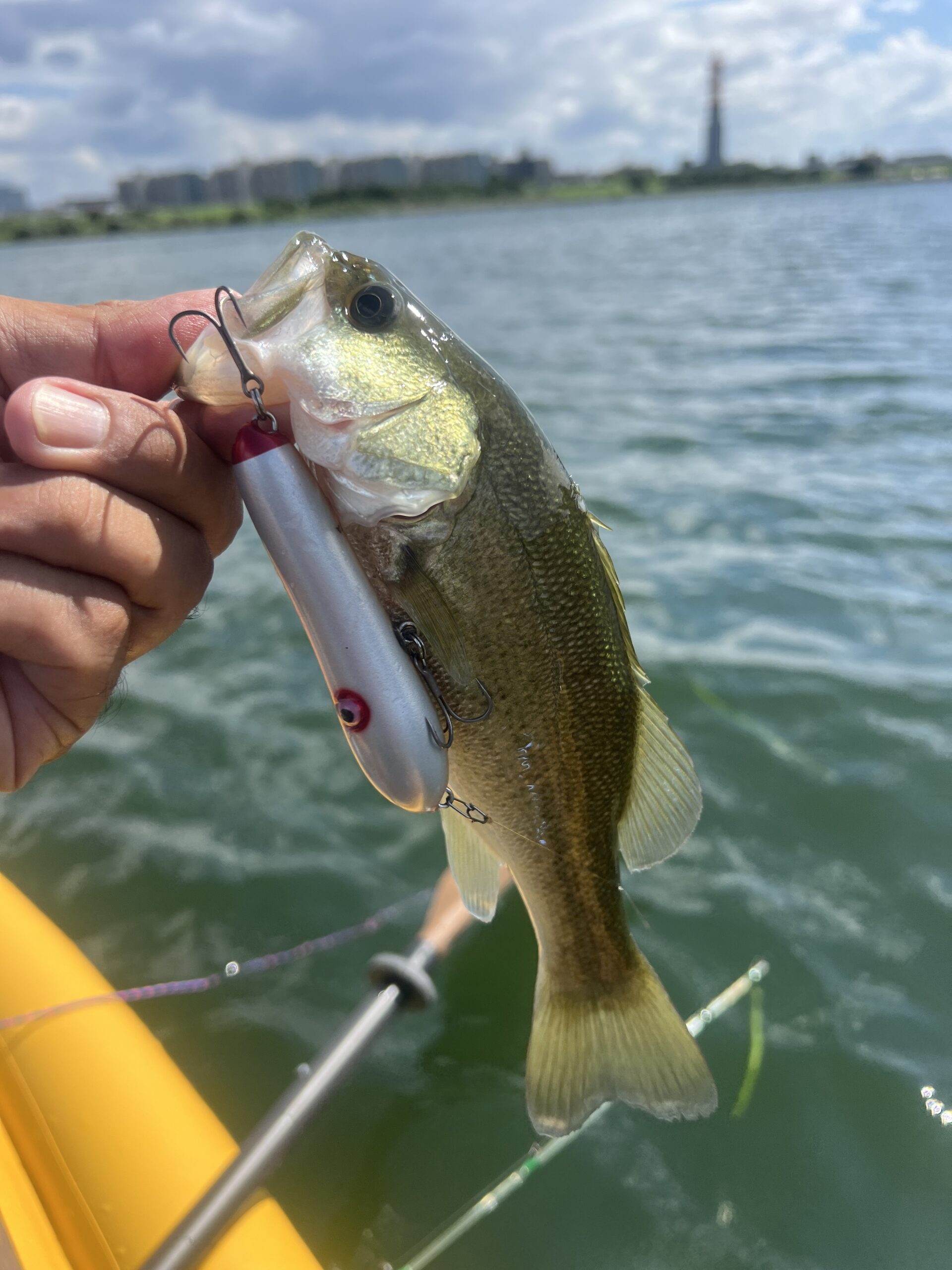 淀川SUPバスフィッシング