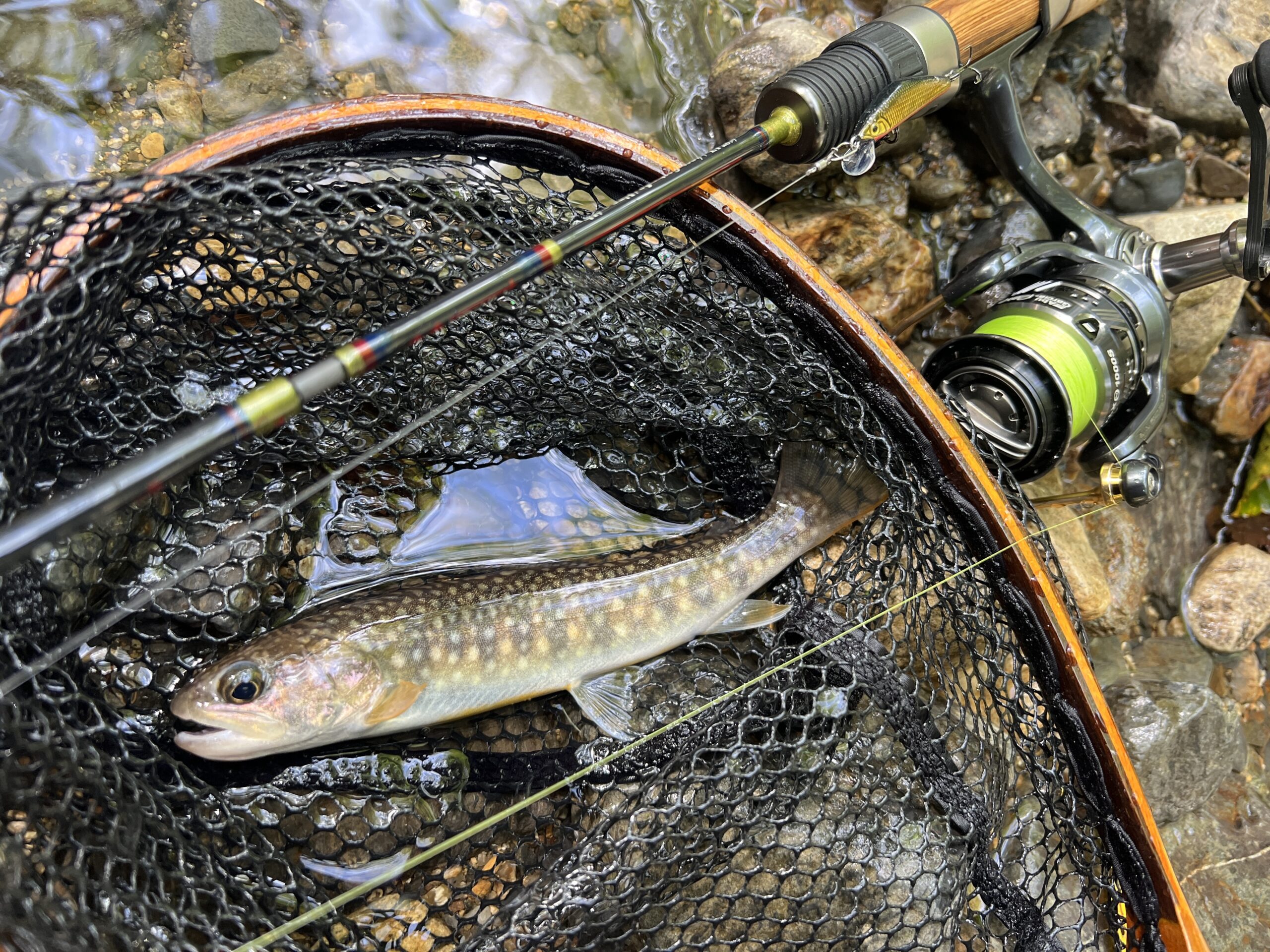 秋の渓流ルアー釣り
