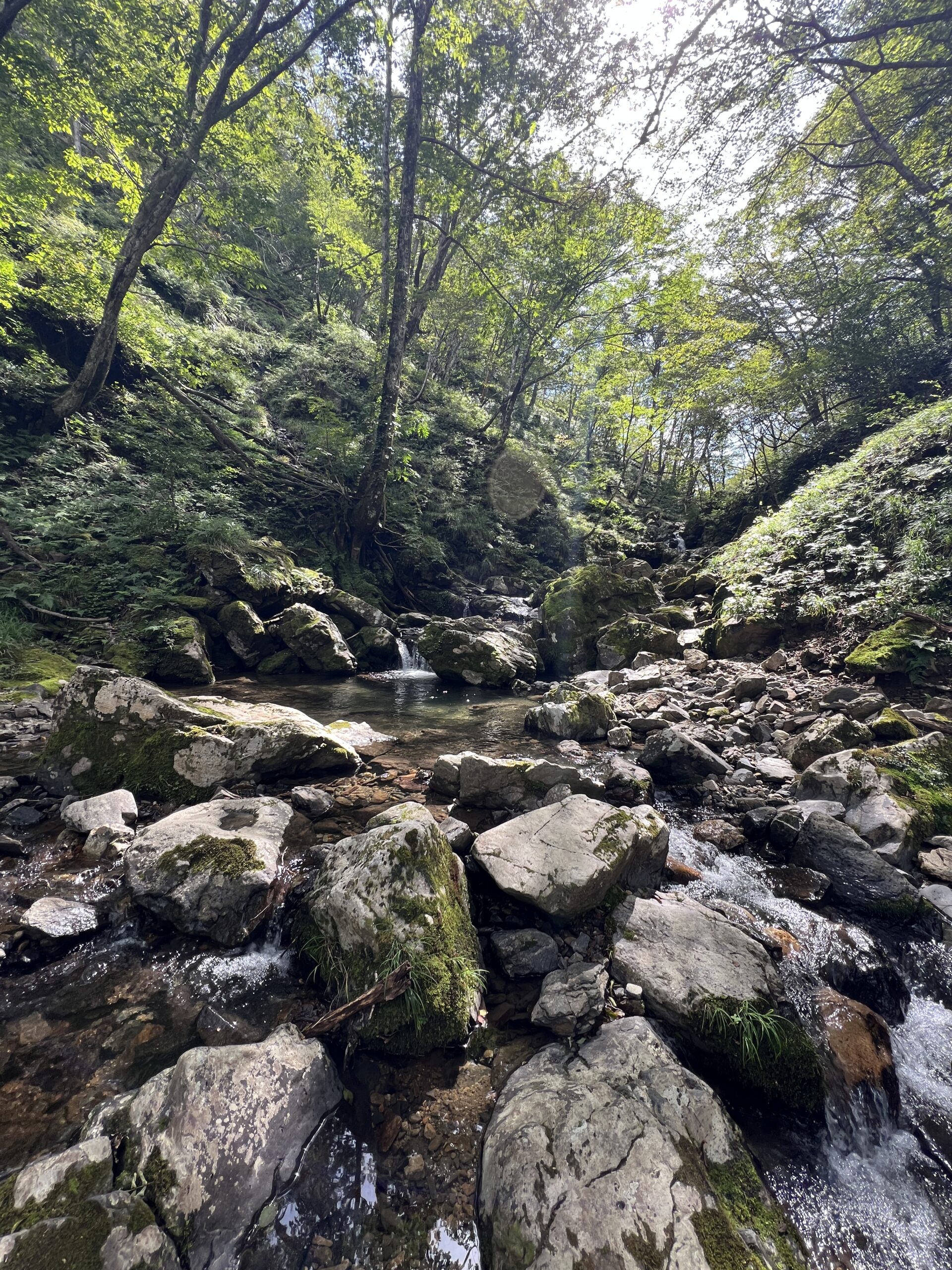 秋の渓流ルアー釣り