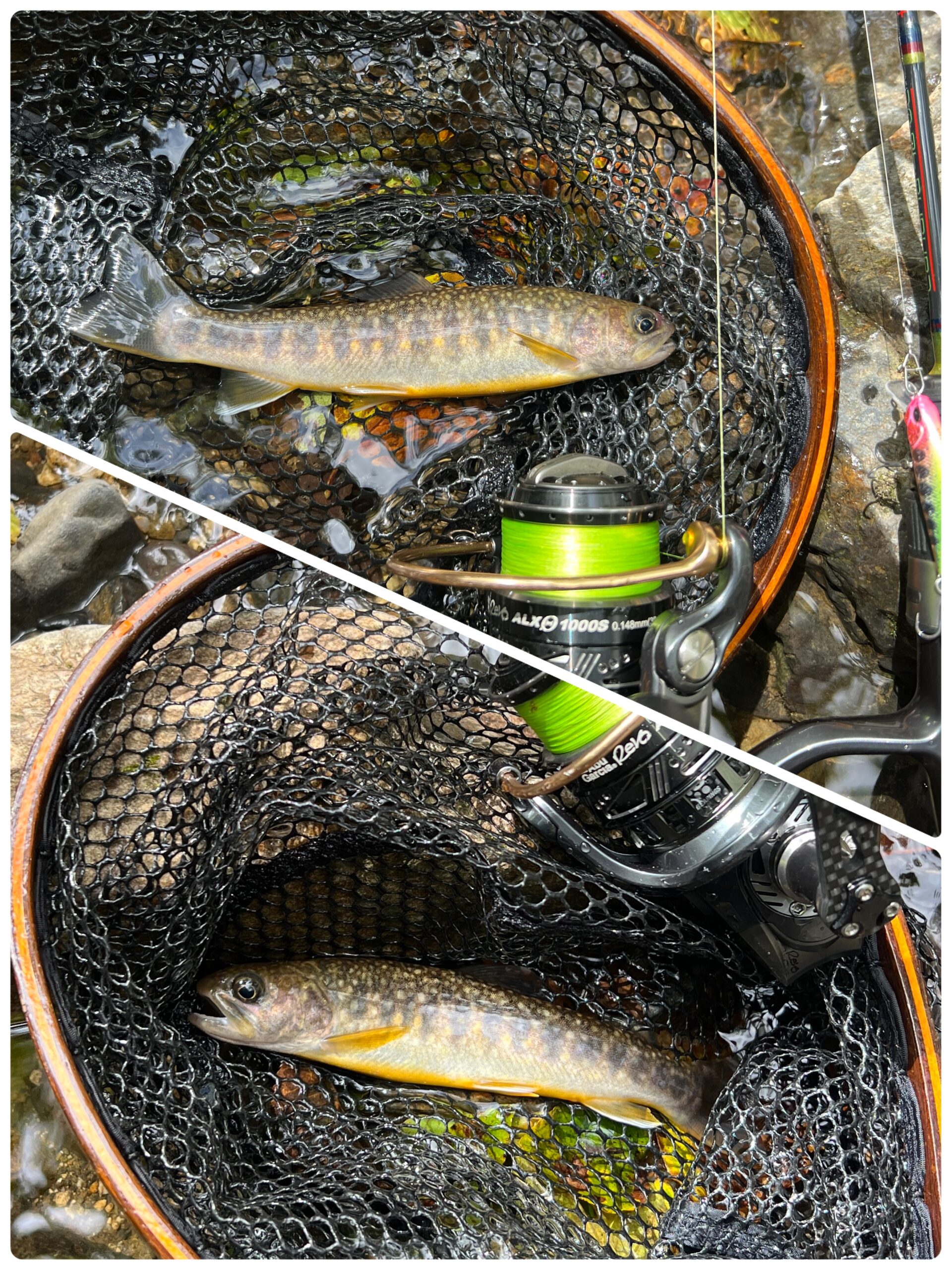 秋の渓流ルアー釣り