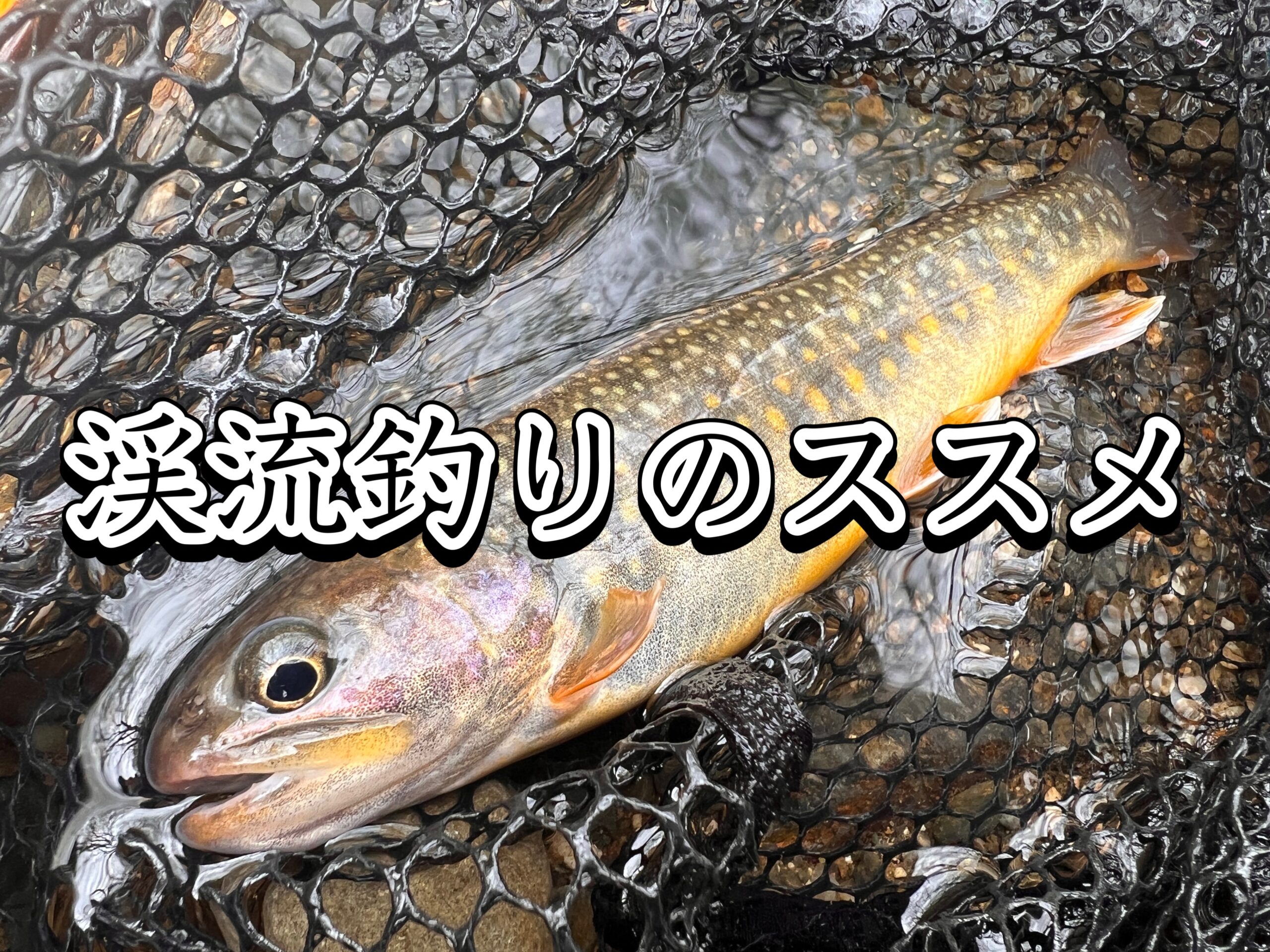 渓流ルアー釣りのススメ