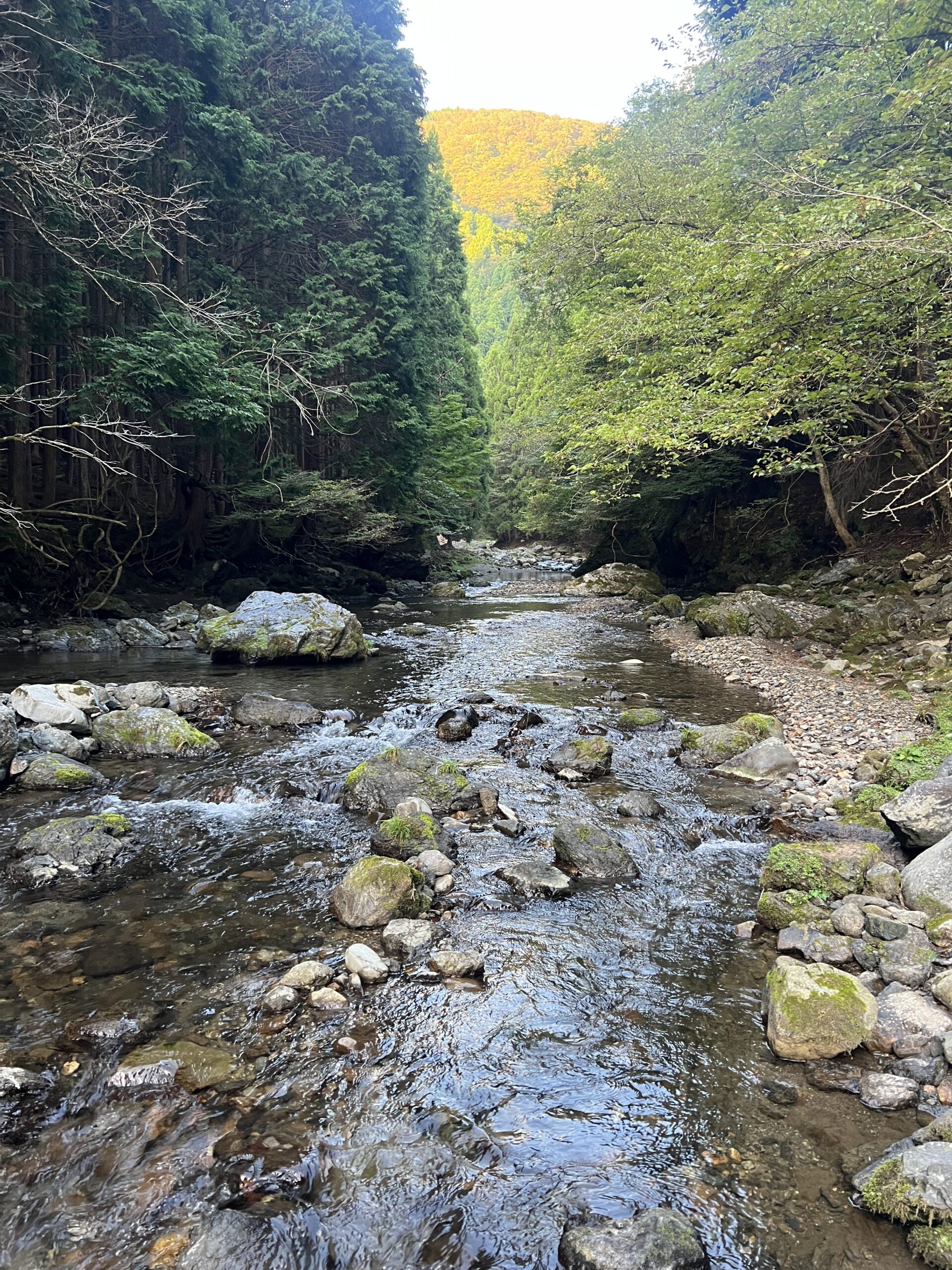 渓流ルアー釣り