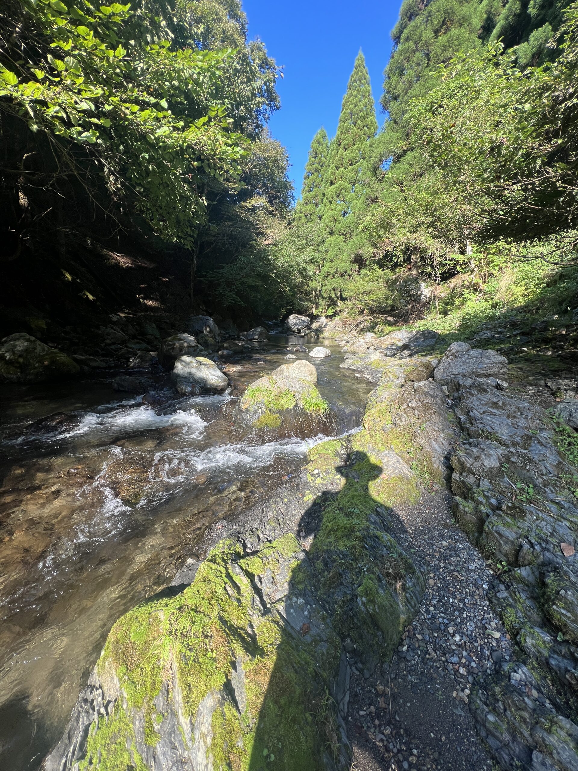 渓流ルアー釣り