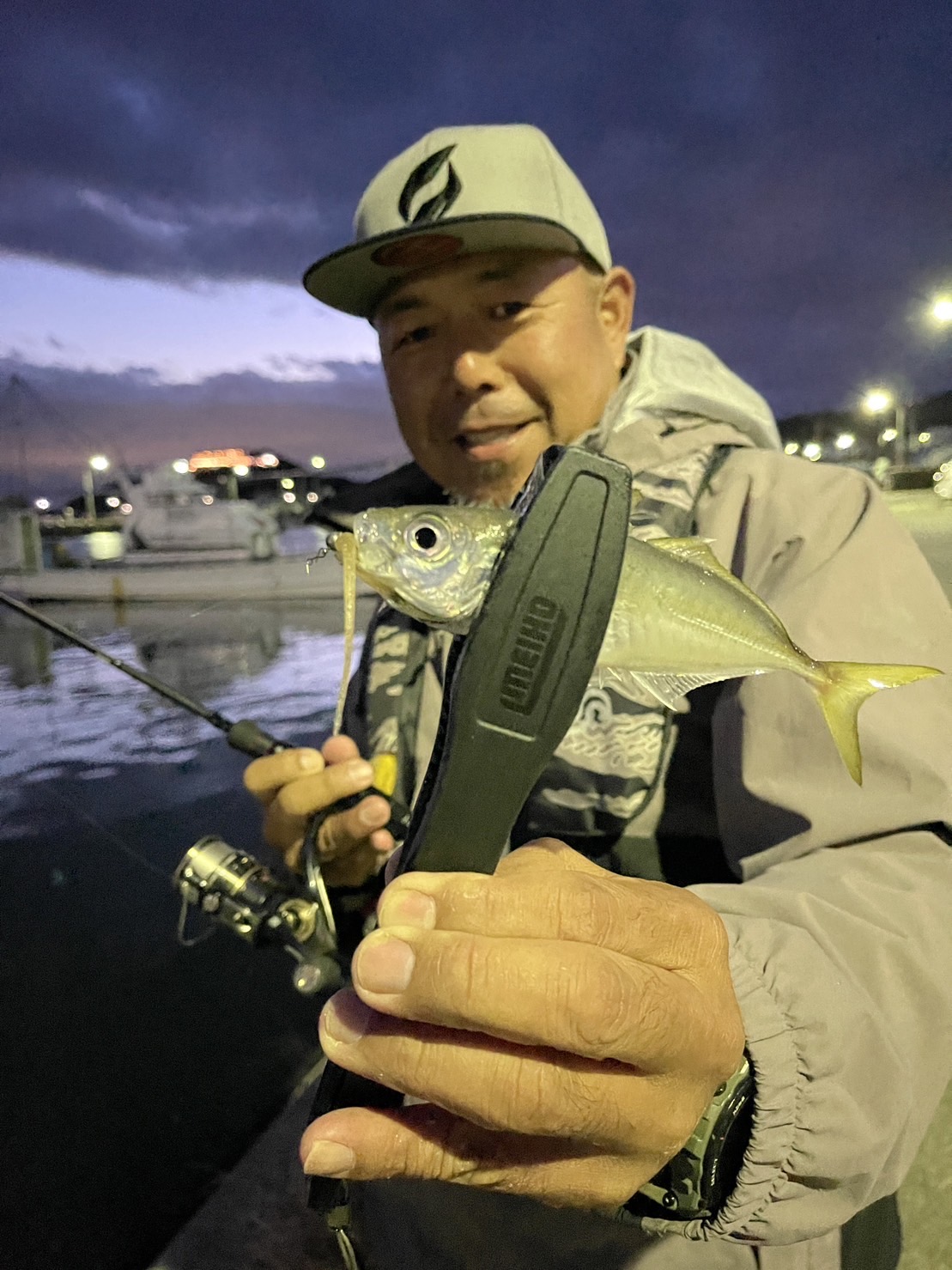 淡路島アジング