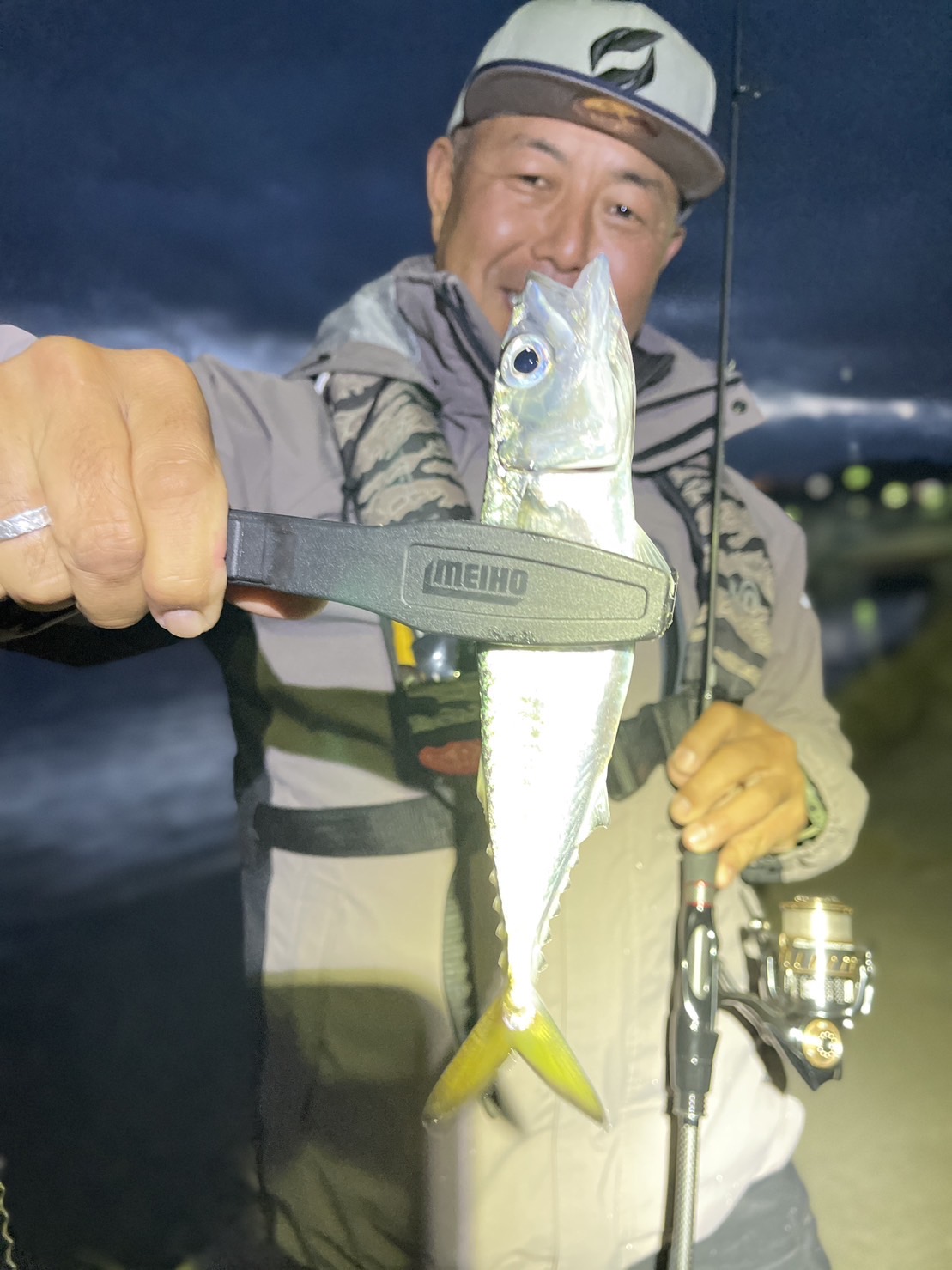 淡路島アジング