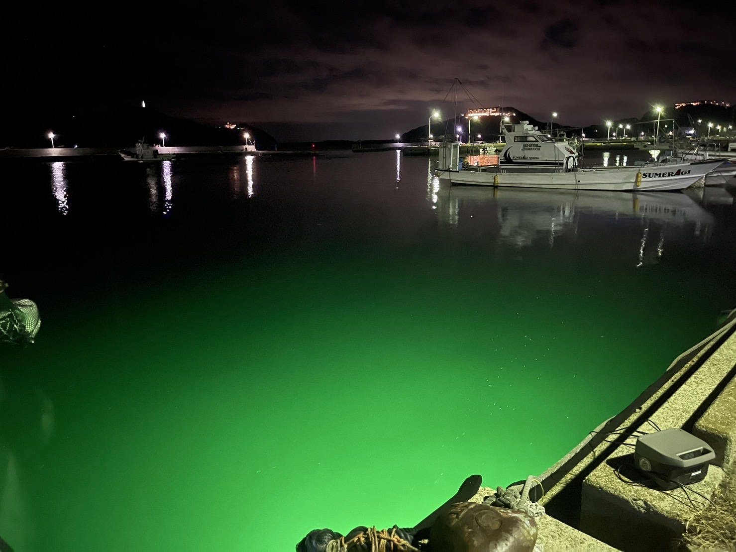 淡路島アジング