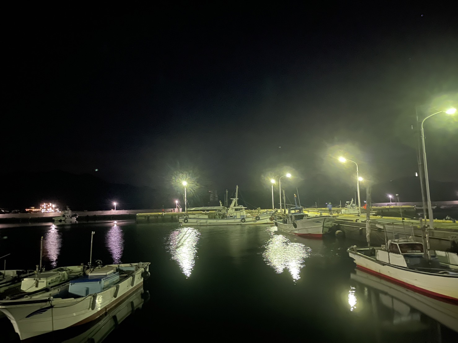 淡路島アジング