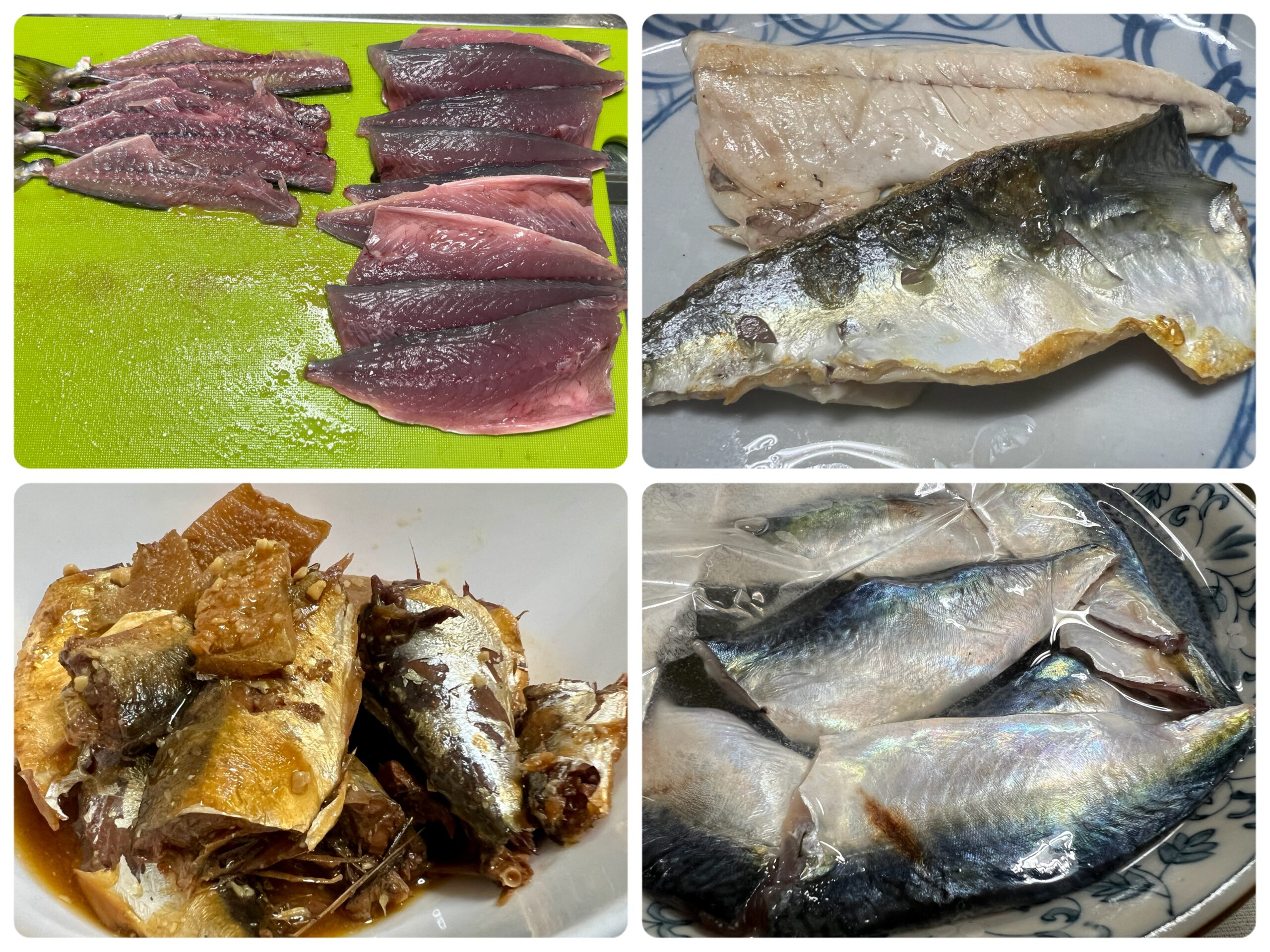 淡路島アジング