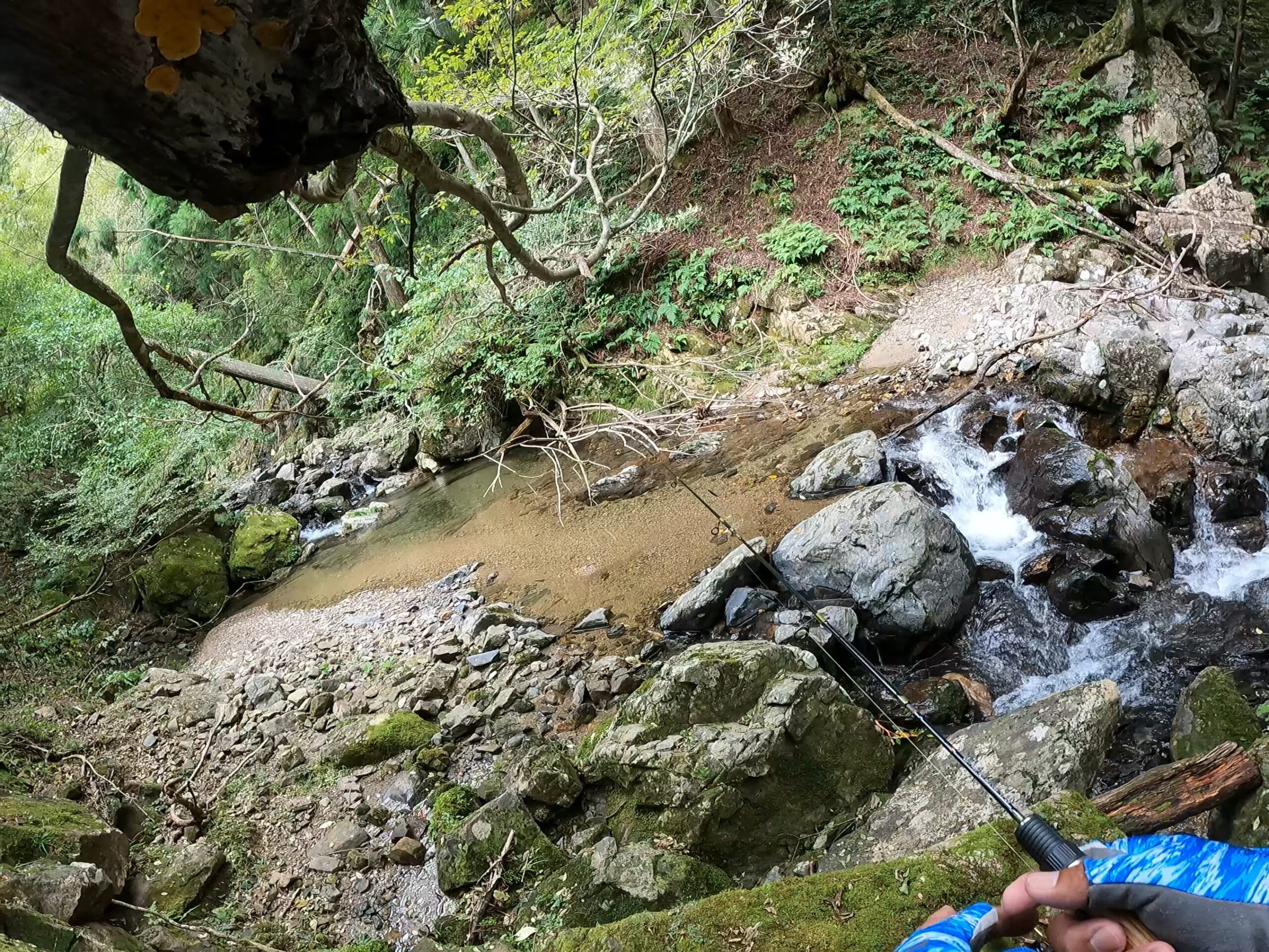 渓流ルアー釣りおすすめロッド