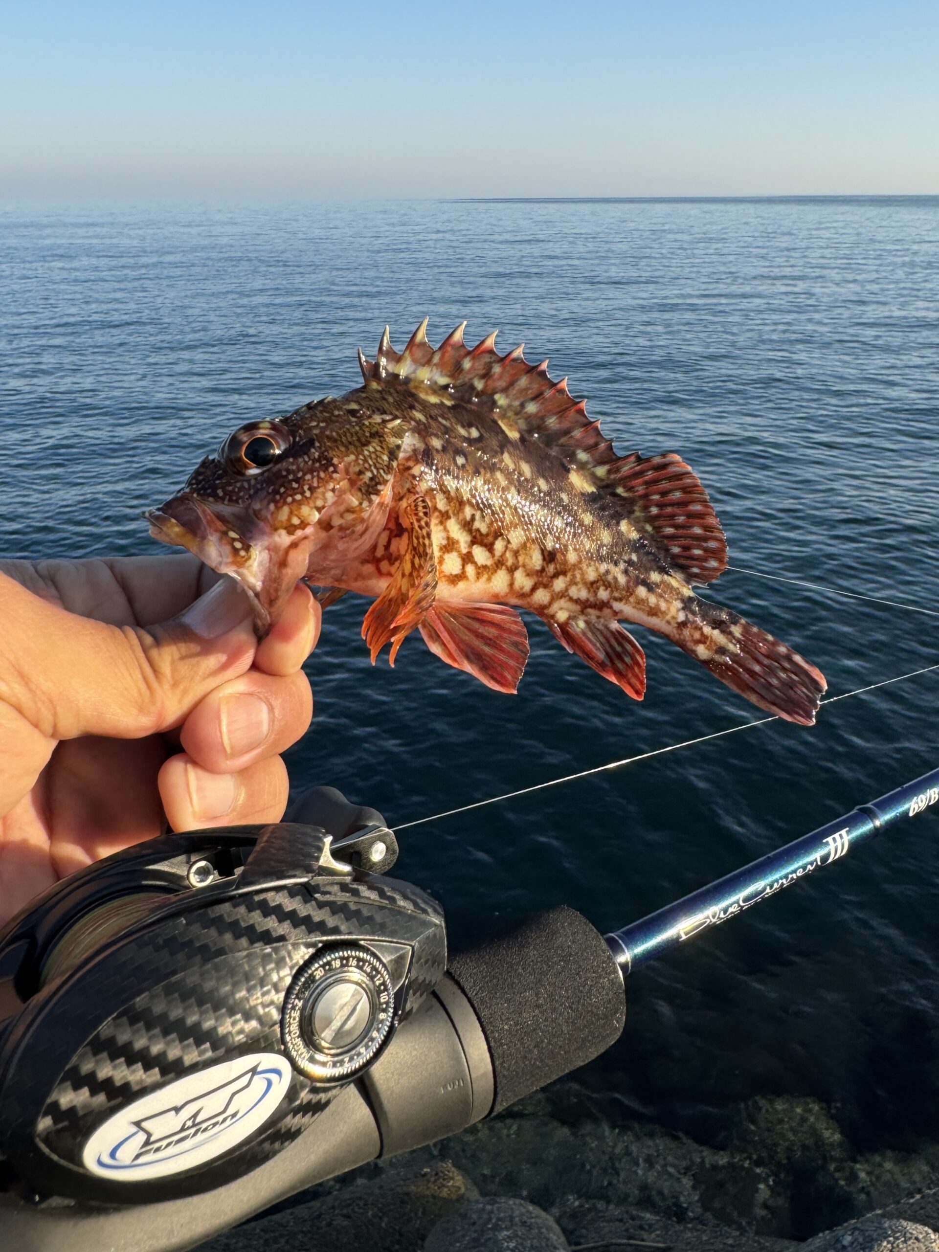 ベイトアジング