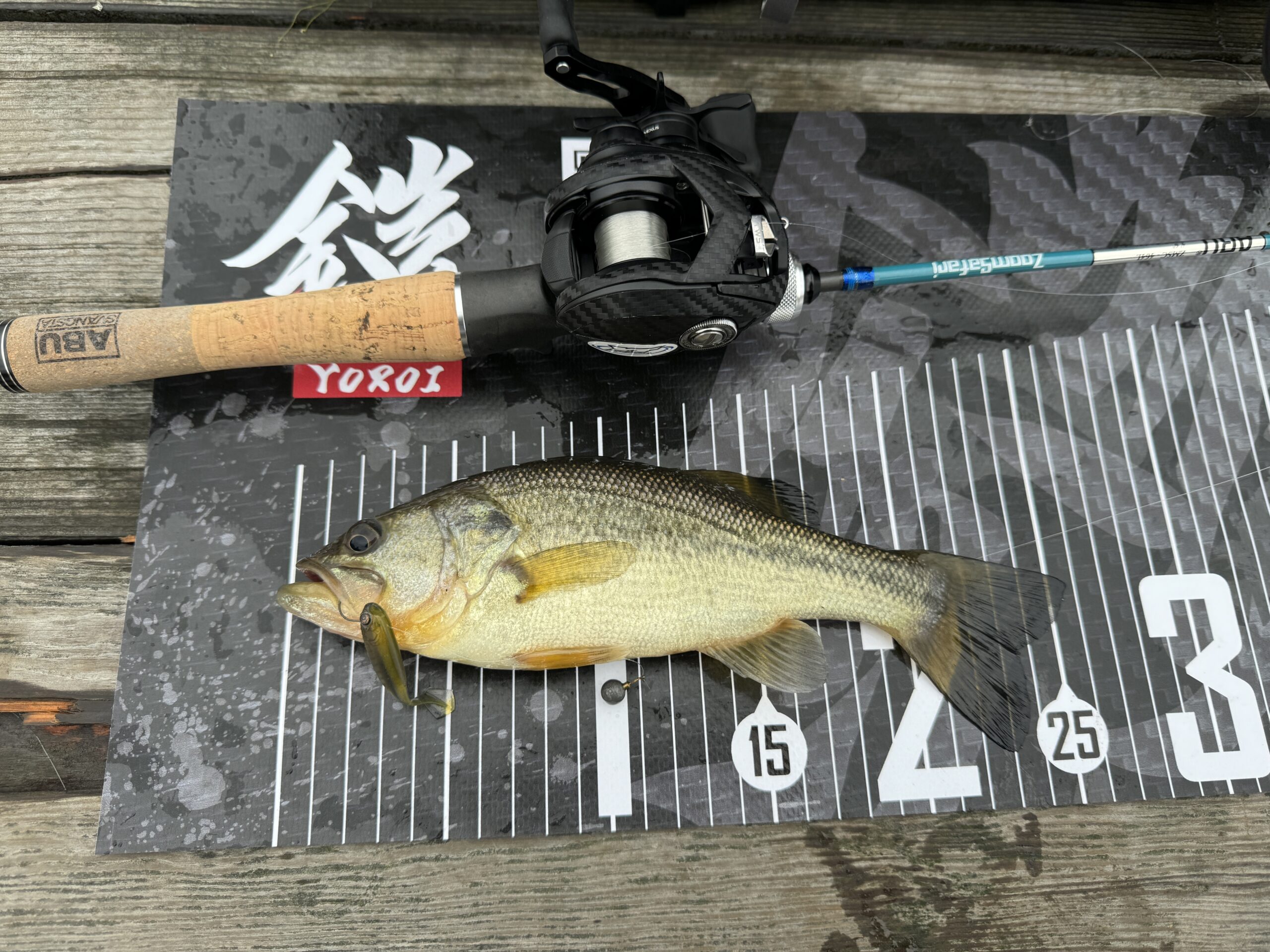 ブラックバス釣り堀