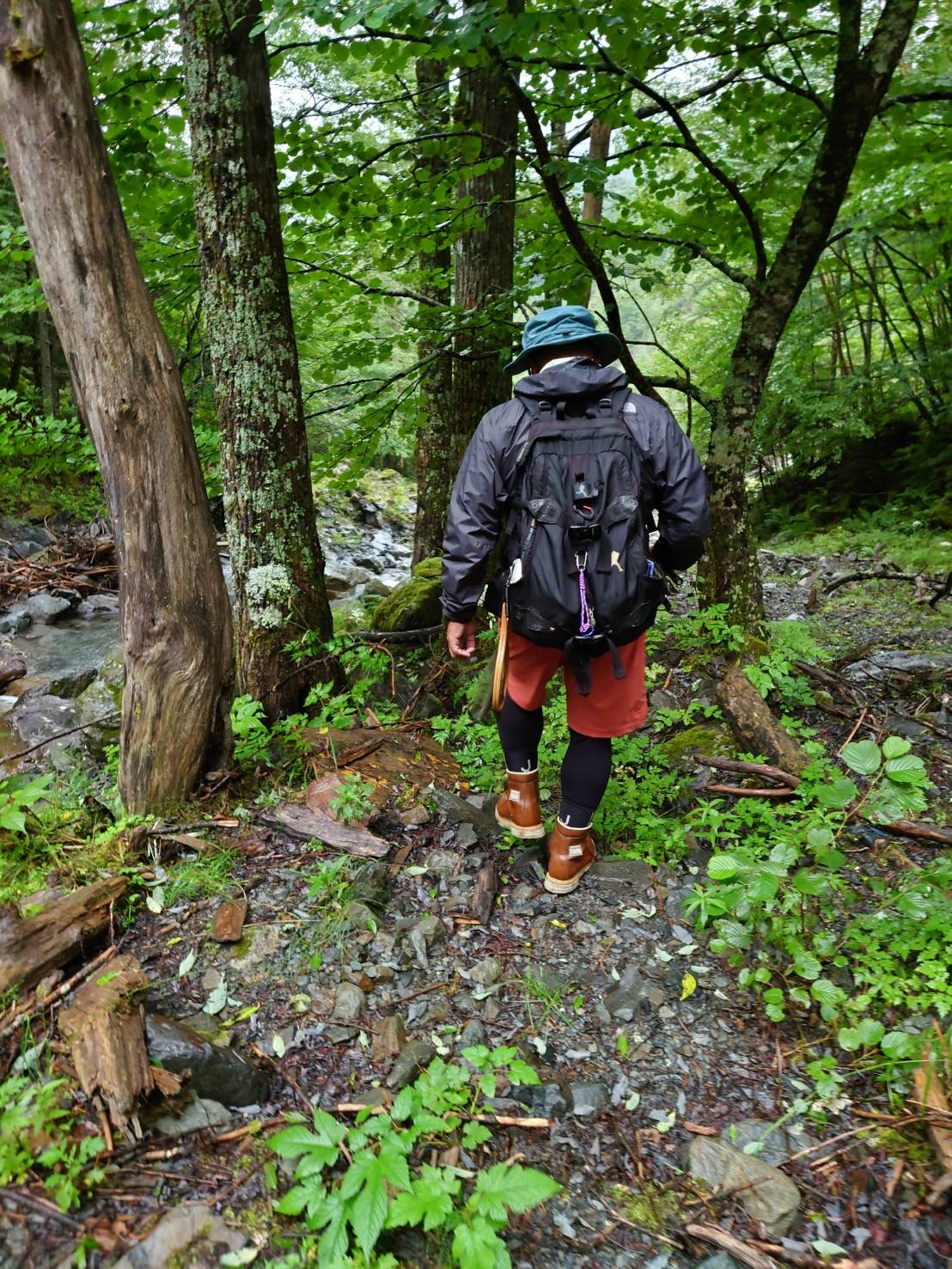 渓流ルアー釣り