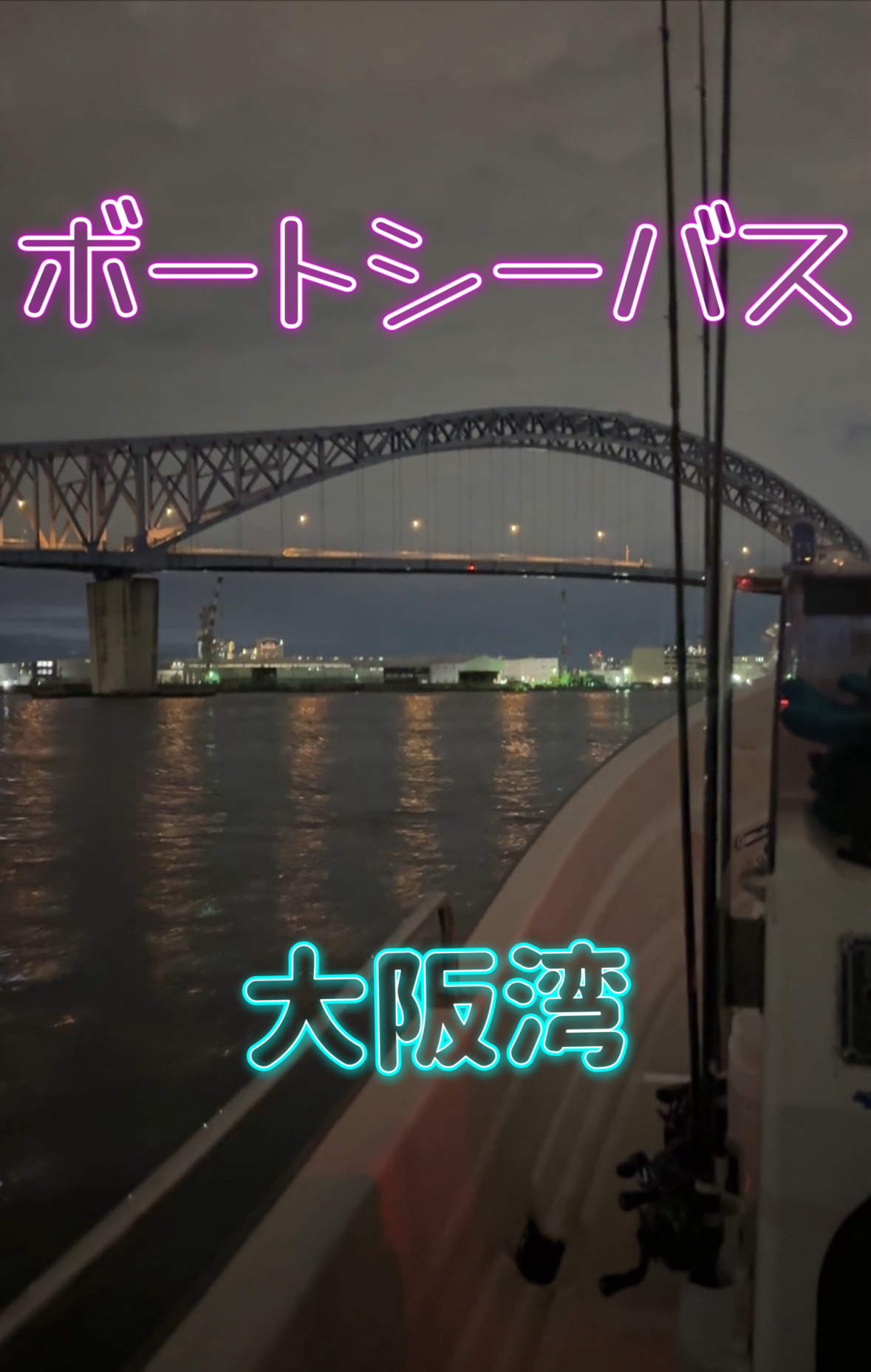 ボートシーバス