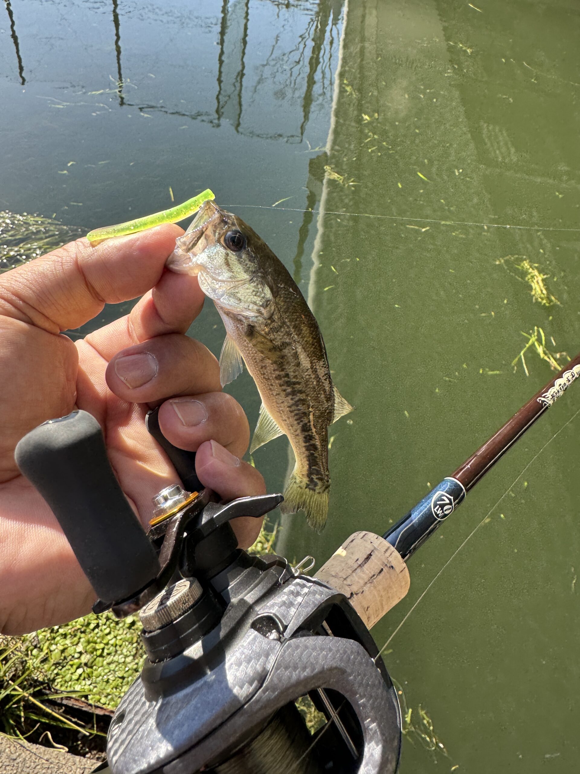 琵琶湖おかっぱり
