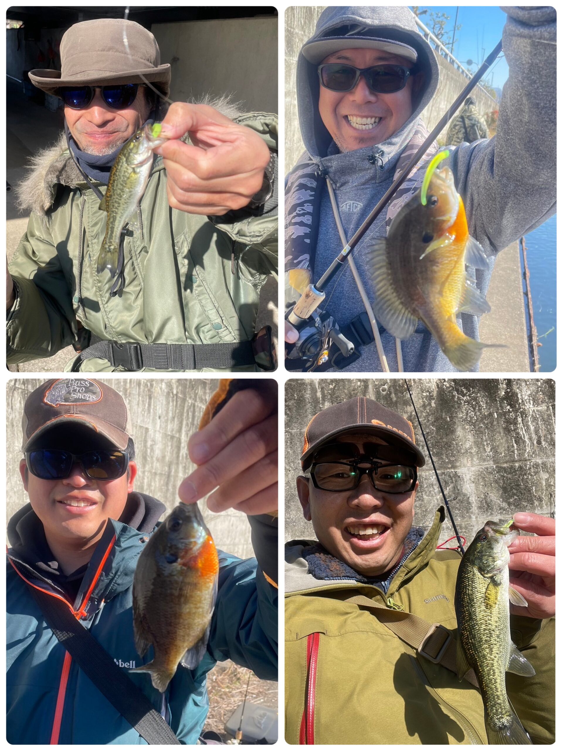 琵琶湖おかっぱり