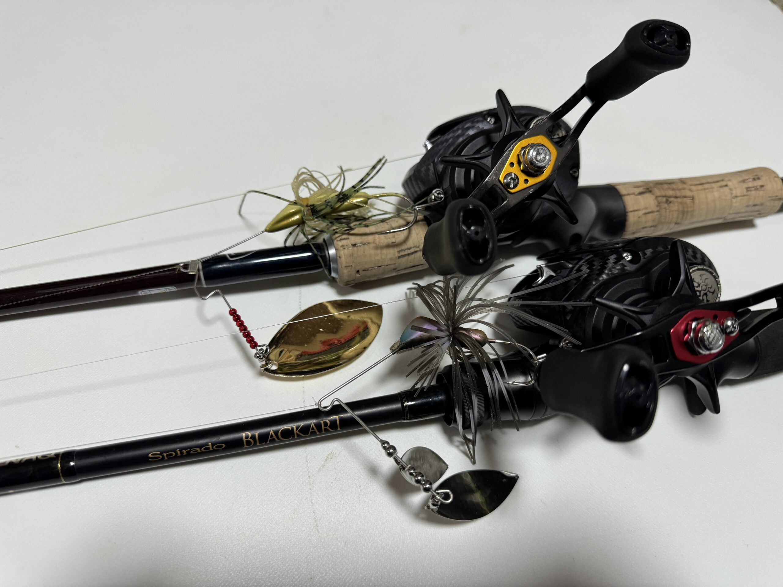 琵琶湖オープン