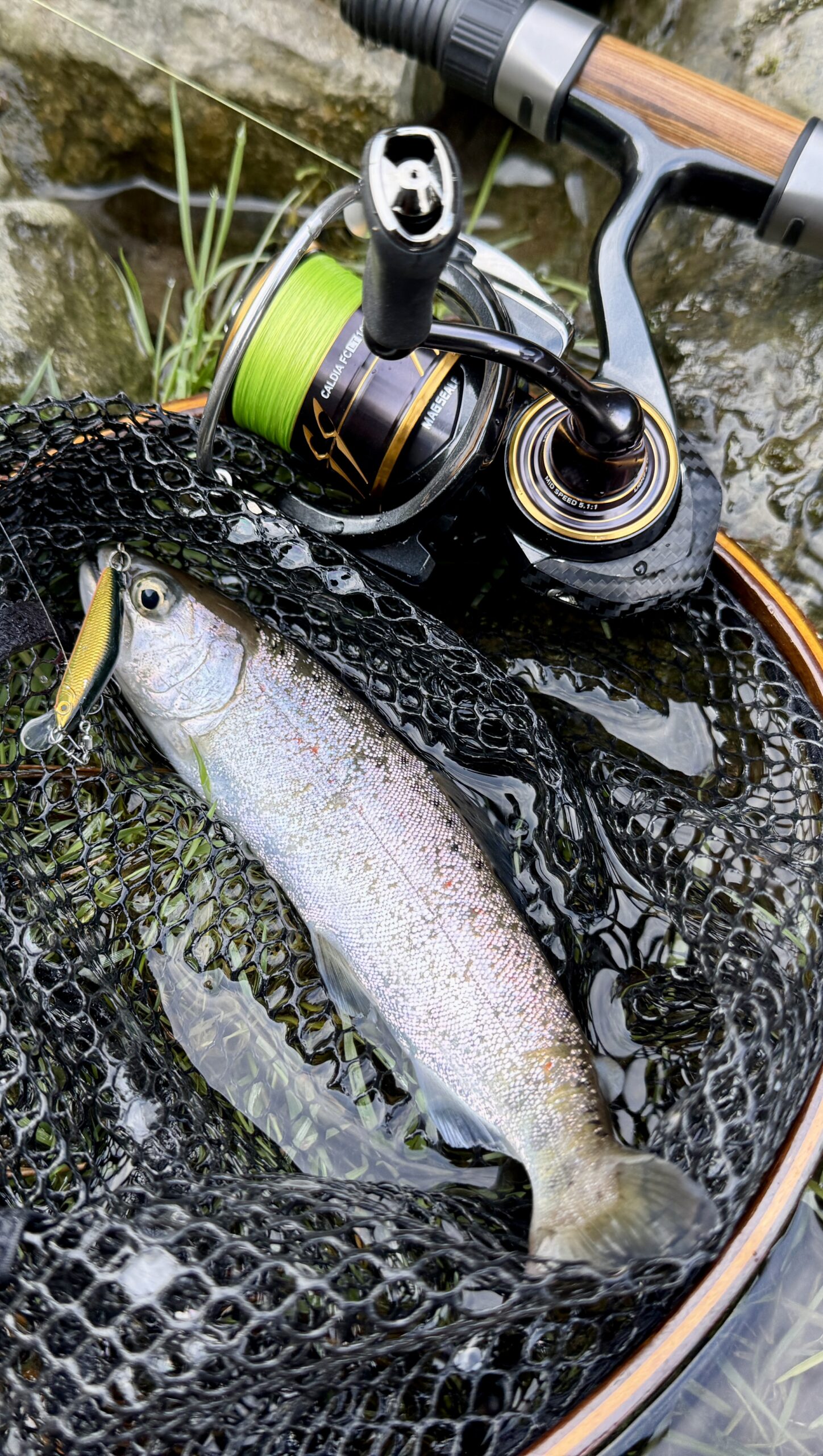 渓流ルアー釣り