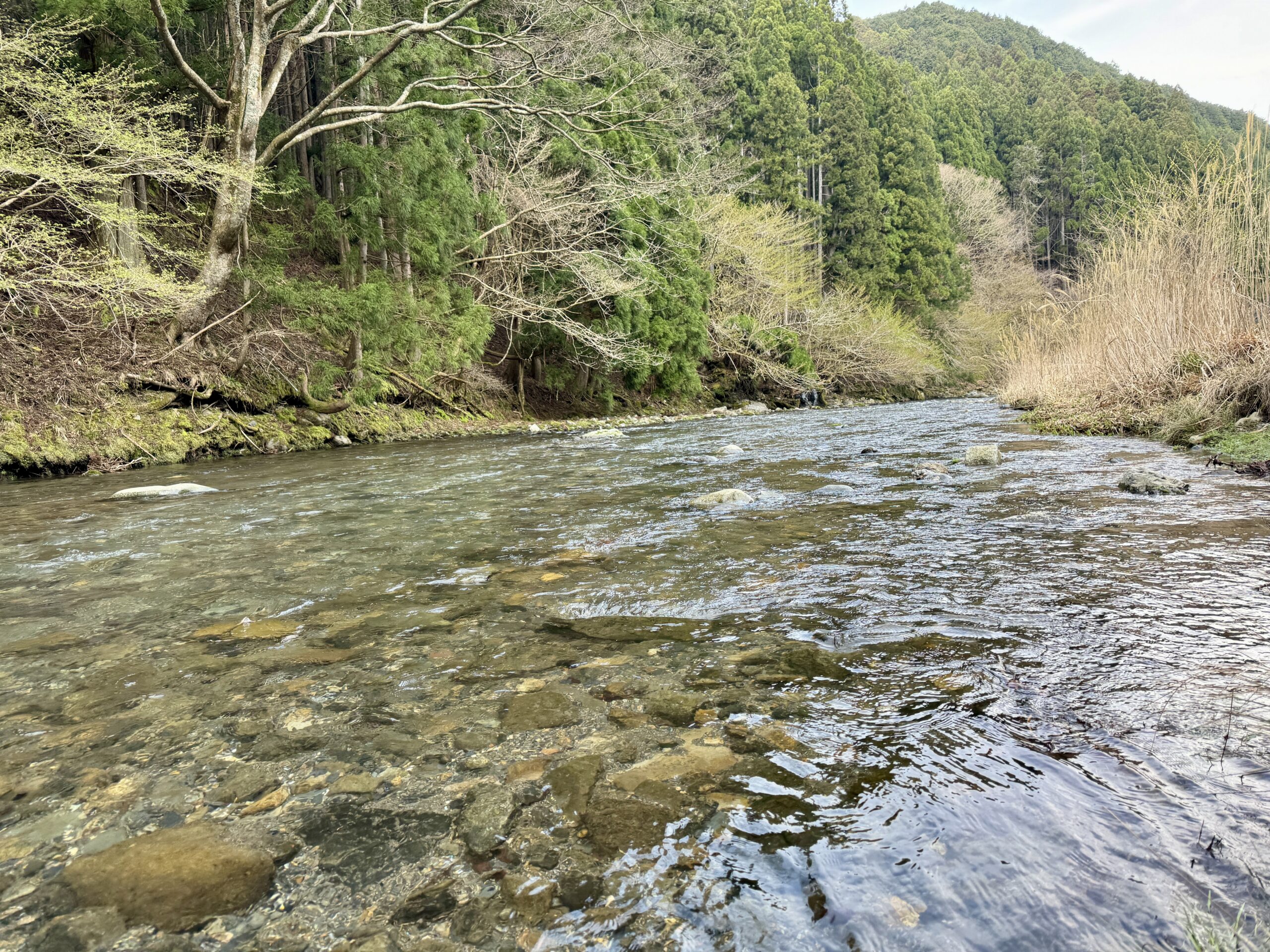 渓流ルアー釣り 