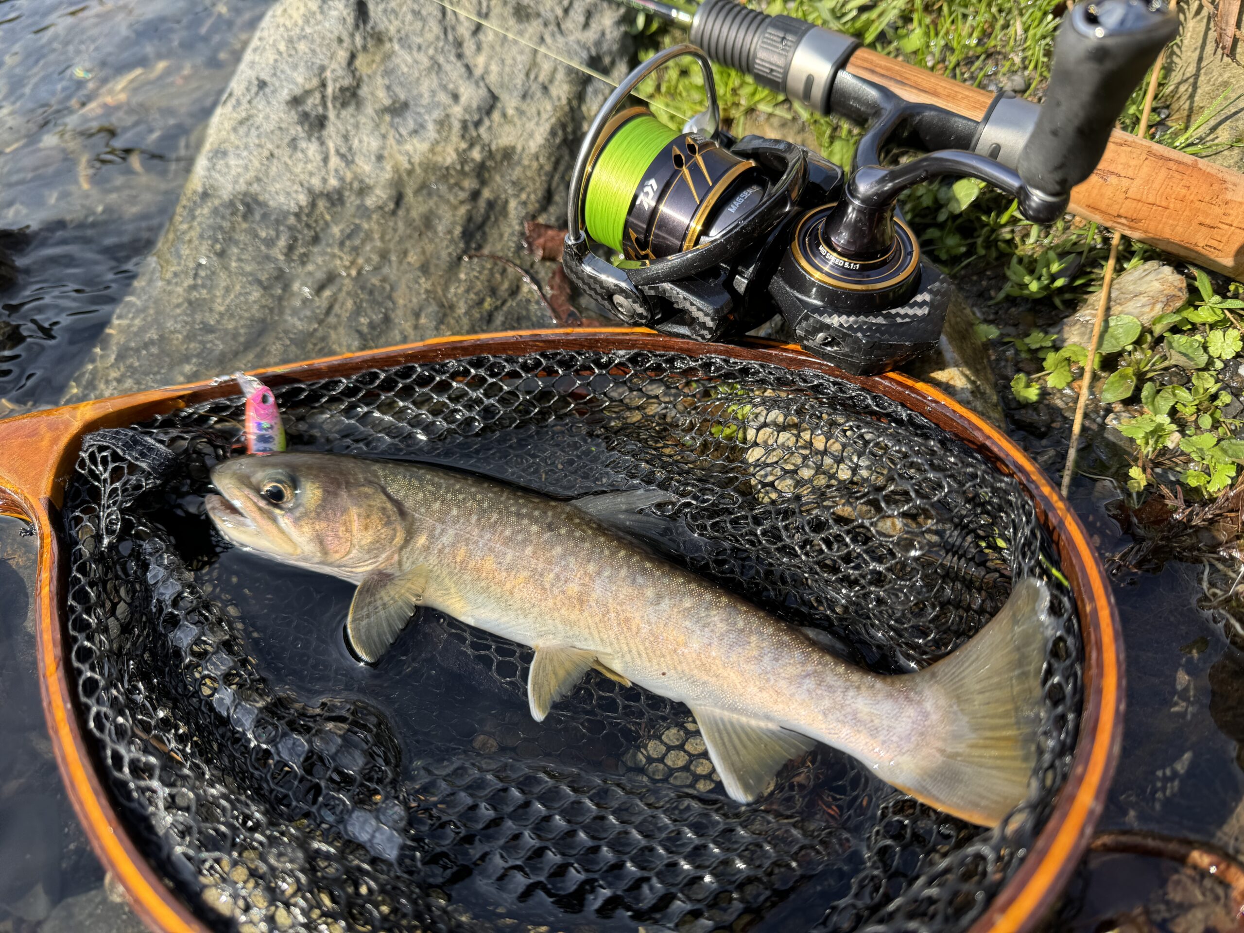 渓流ルアー釣り