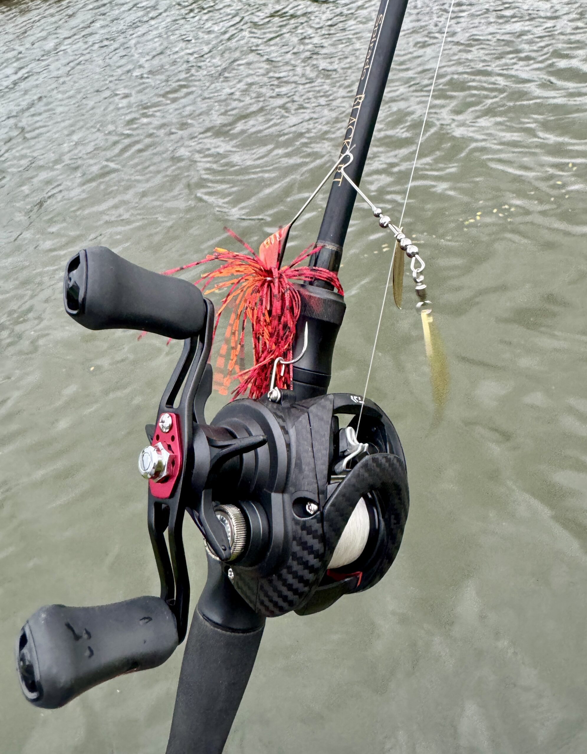 琵琶湖バス釣り