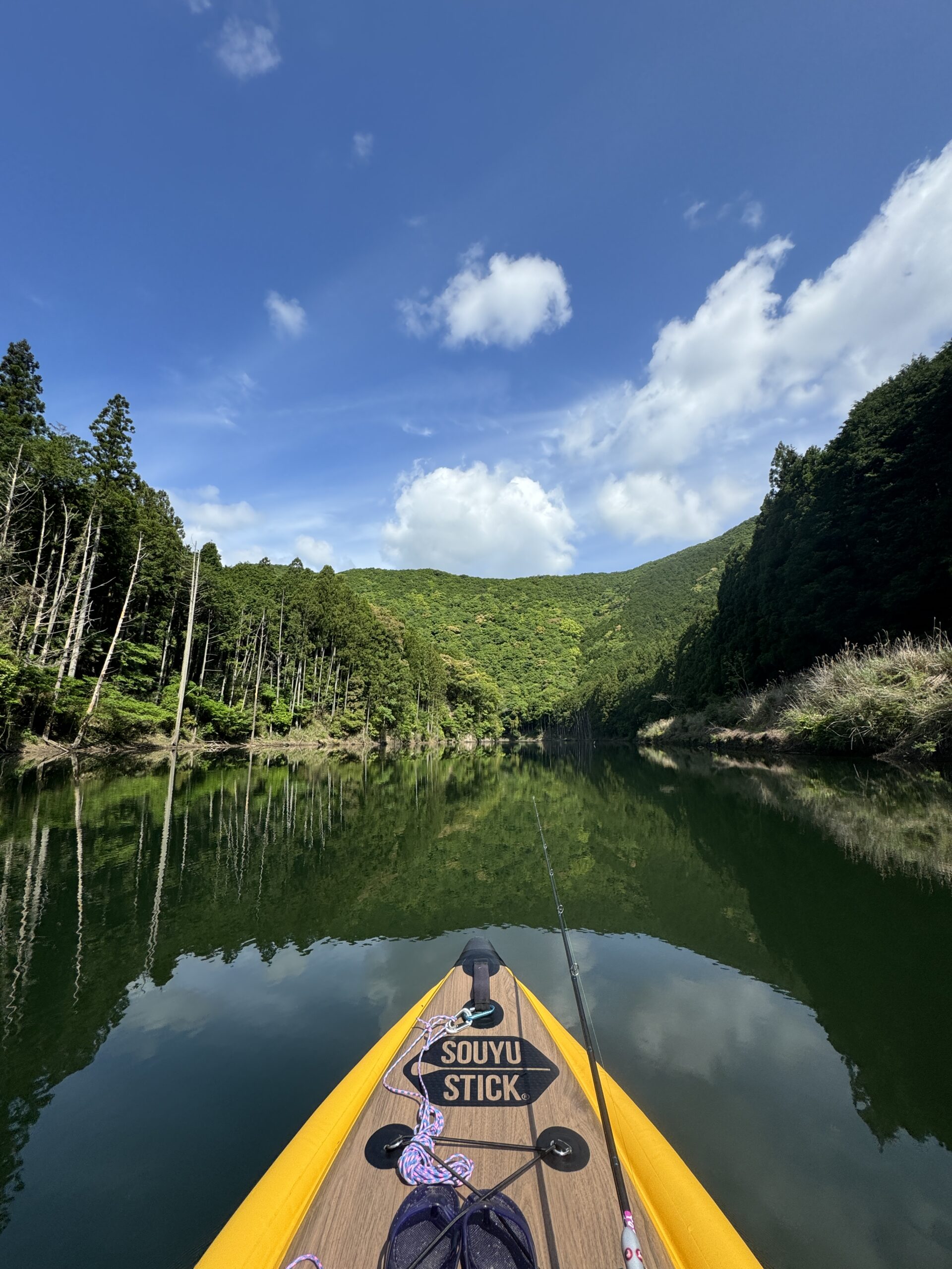 SUPフィッシング