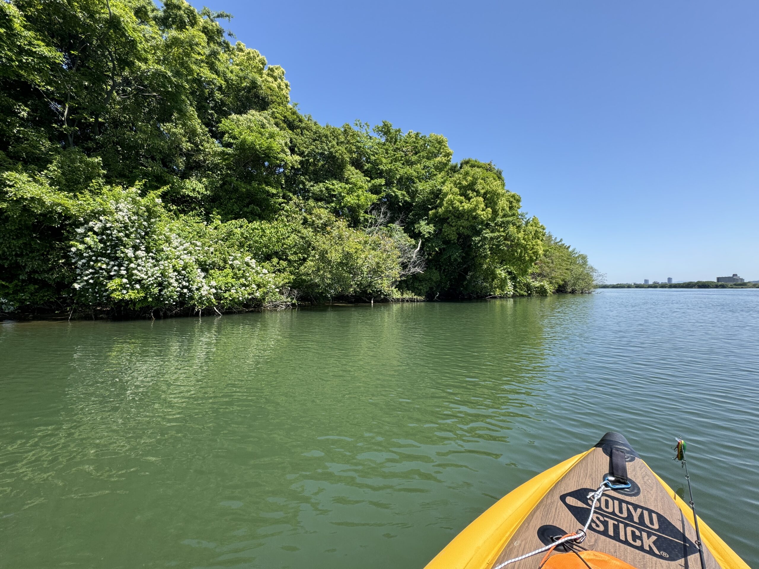 SUPフィッシング