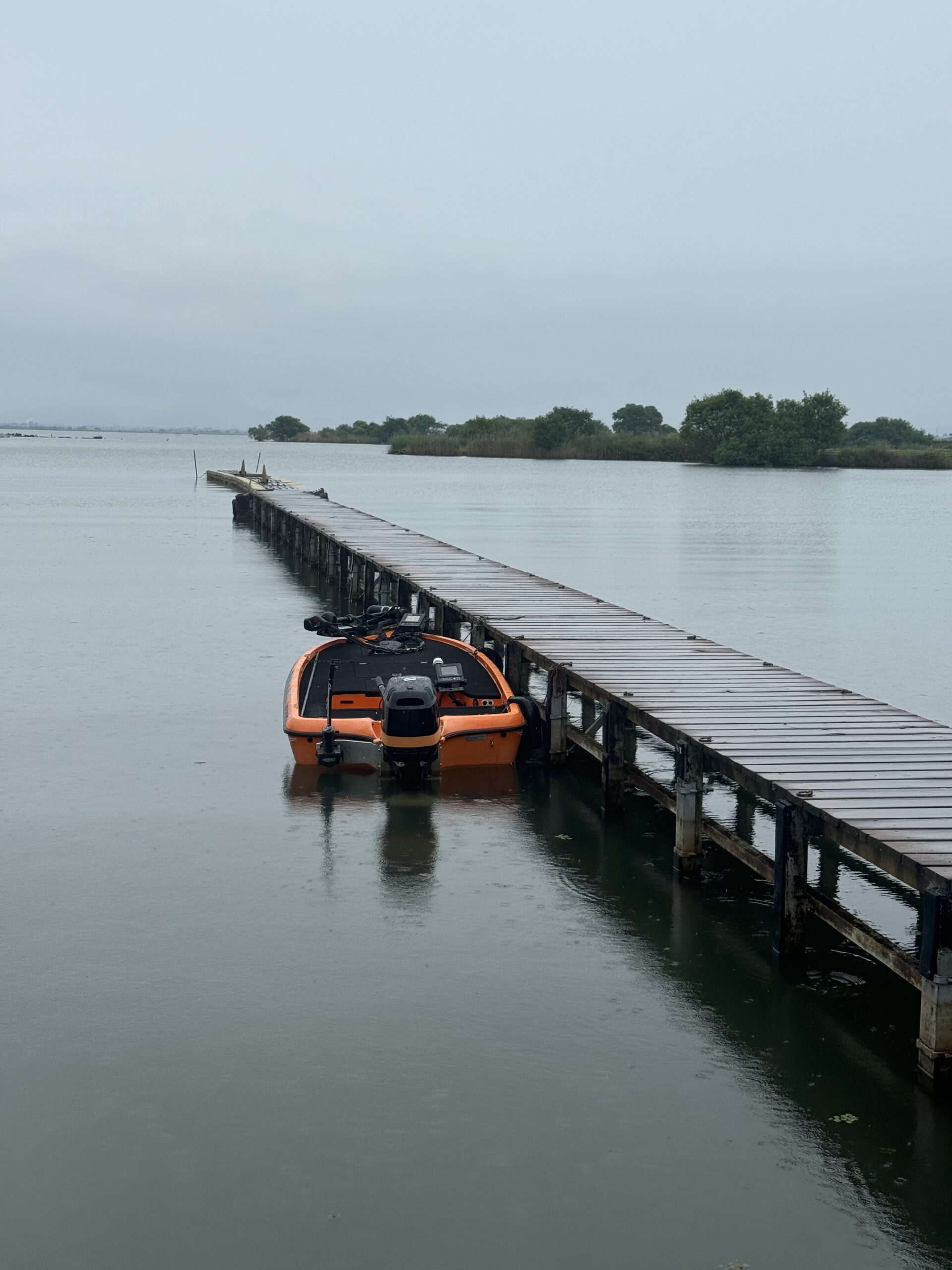 琵琶湖バス釣り
