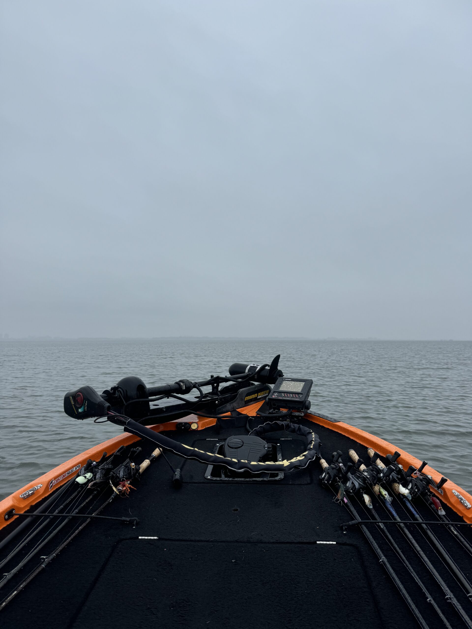 琵琶湖バス釣り