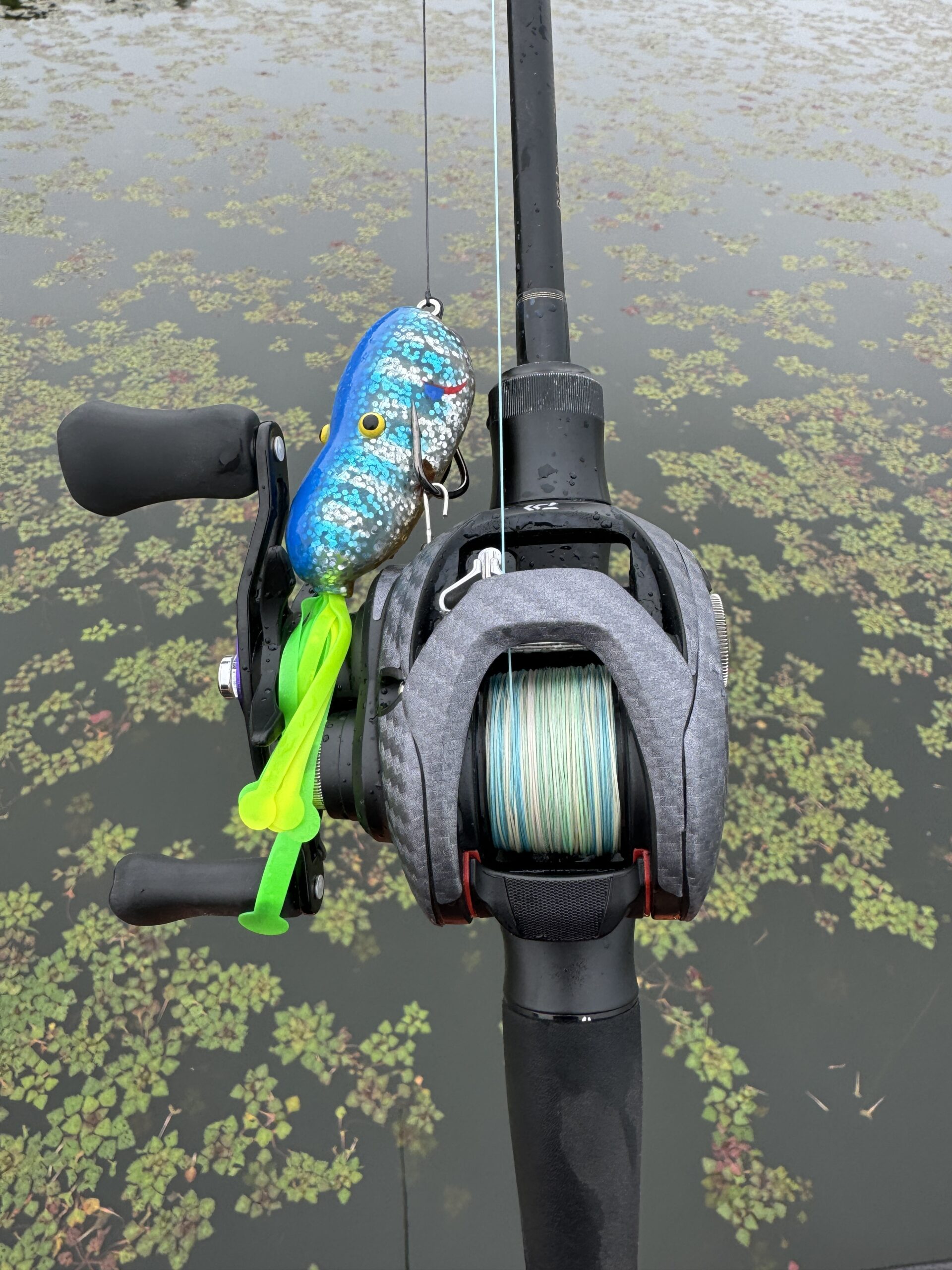 琵琶湖バス釣り