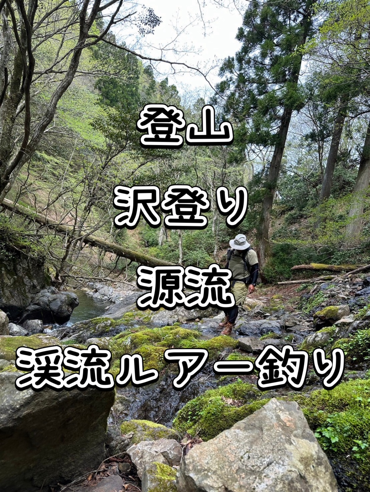 渓流ルアー釣り