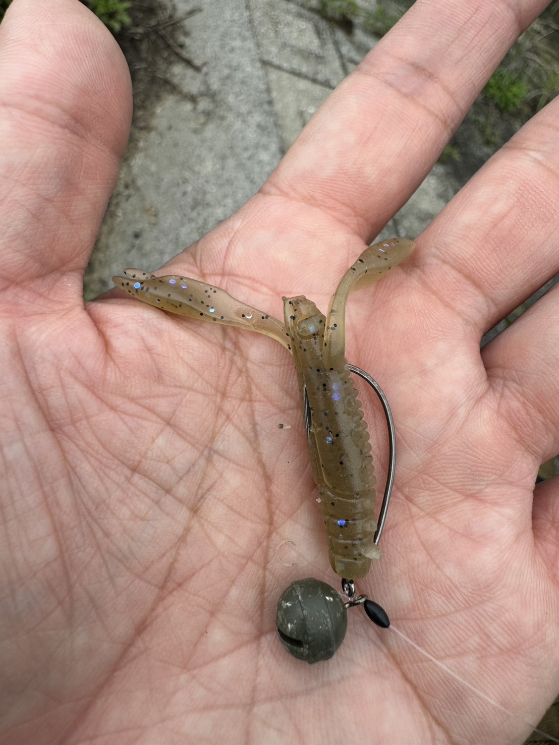 ベイトチニング