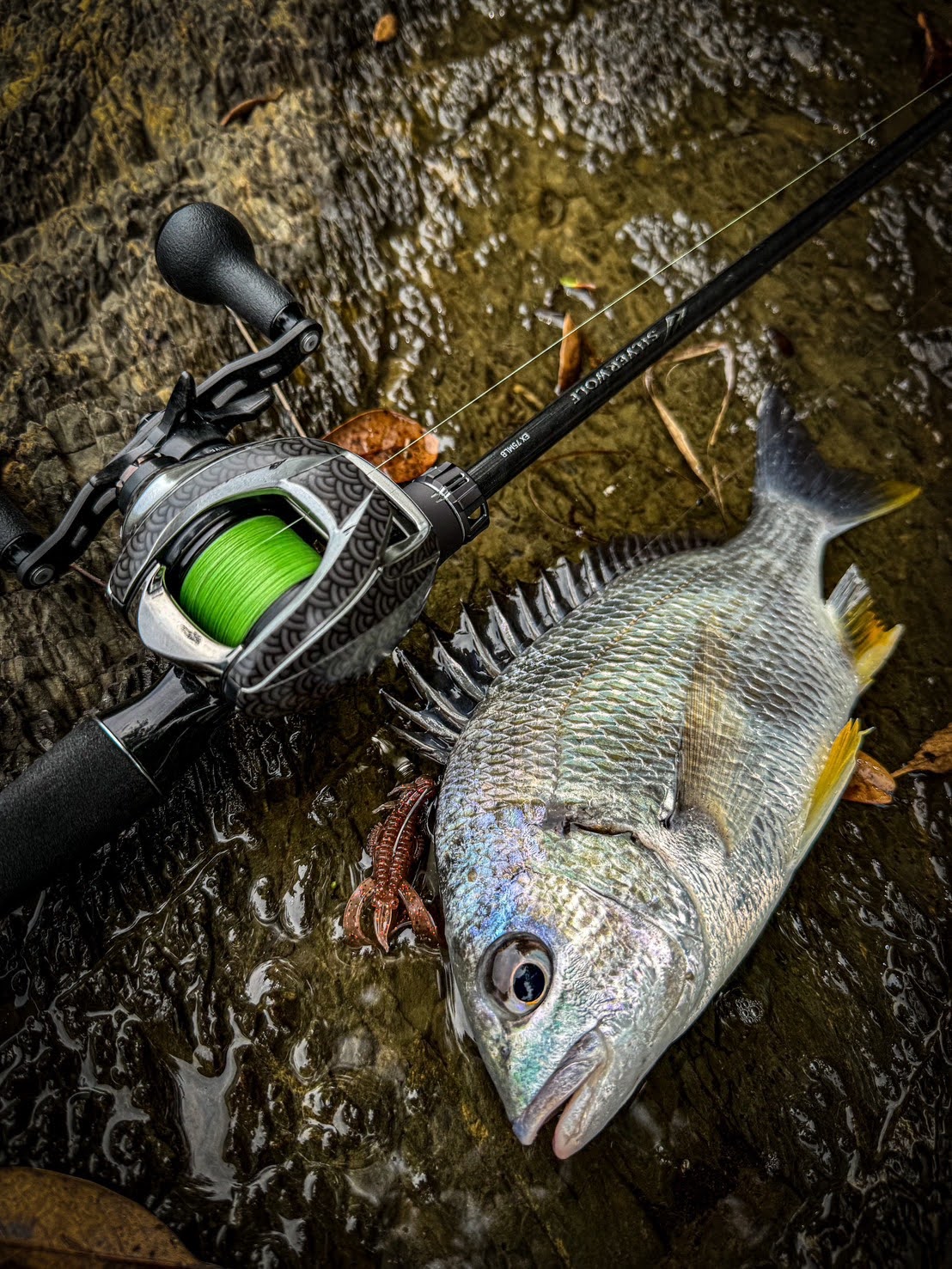 ベイトチニングタックル