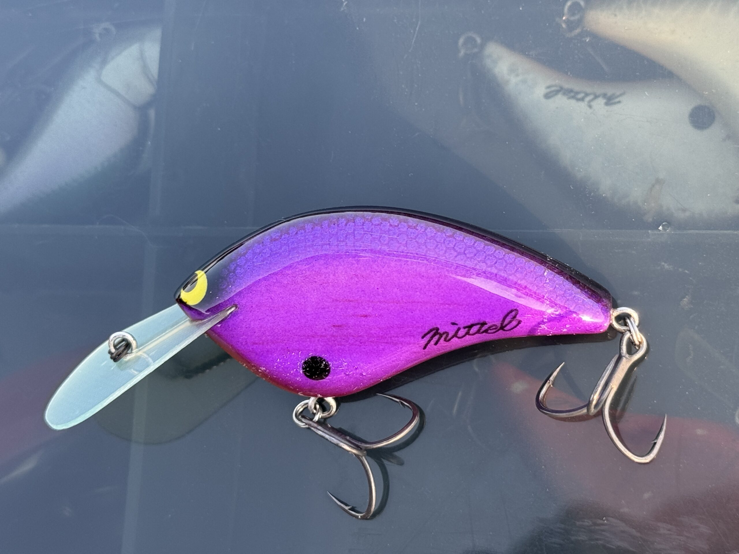 琵琶湖バスフィッシング