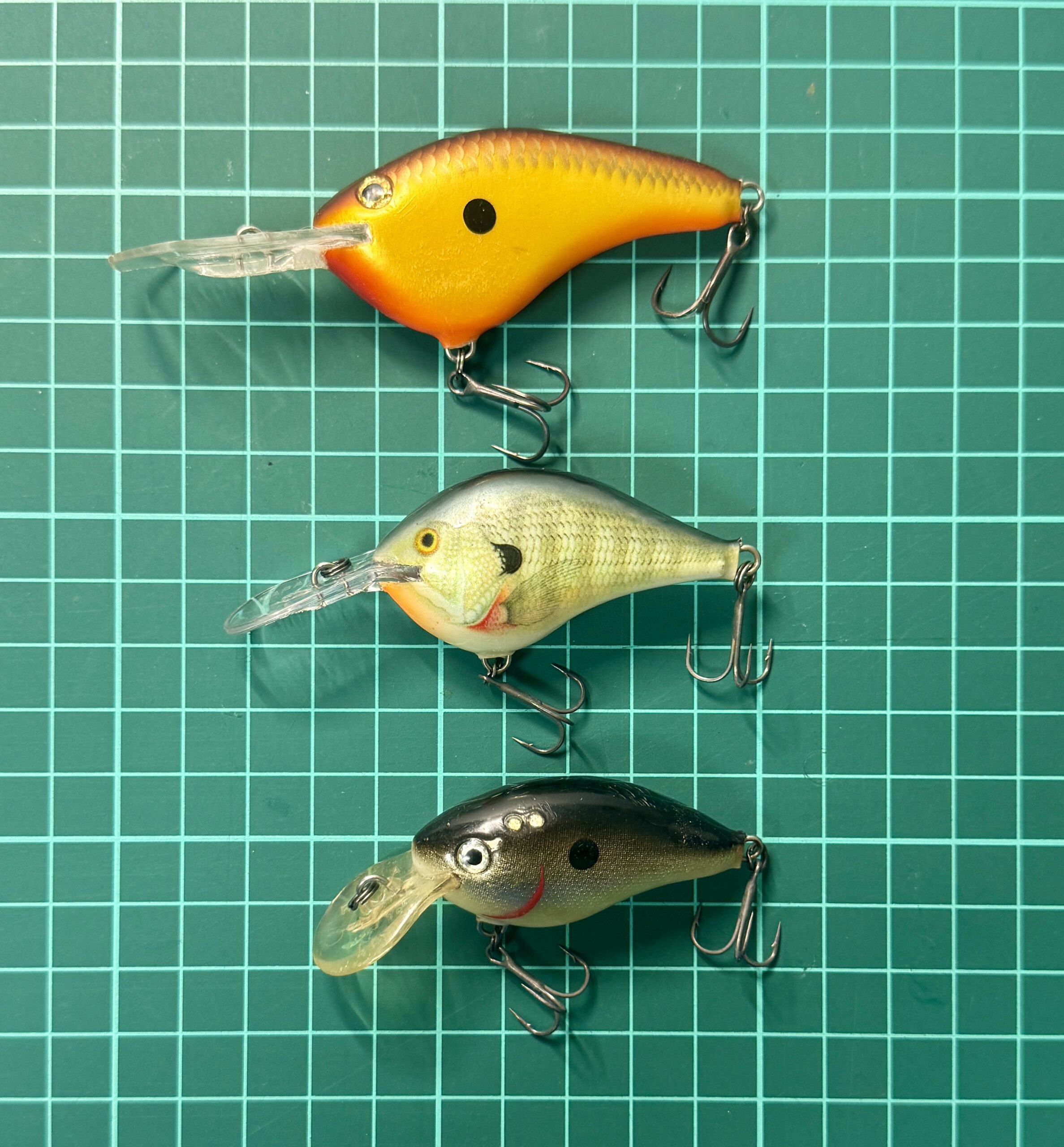 琵琶湖バスフィッシング