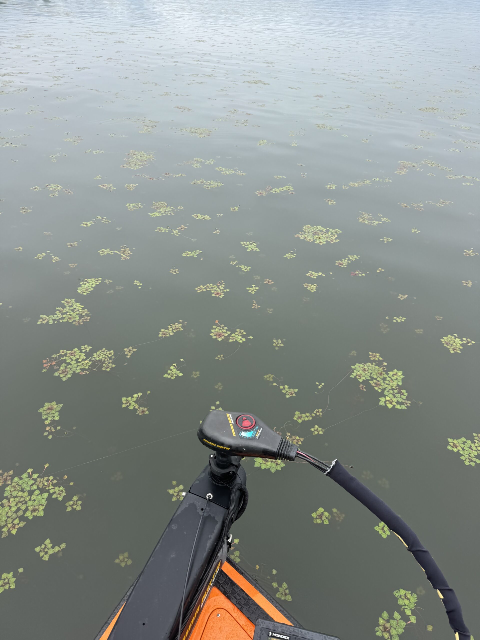 バストーナメント